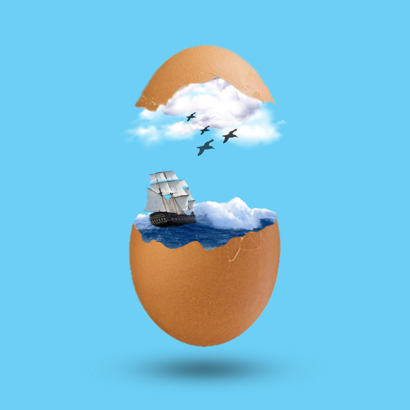 egg ship