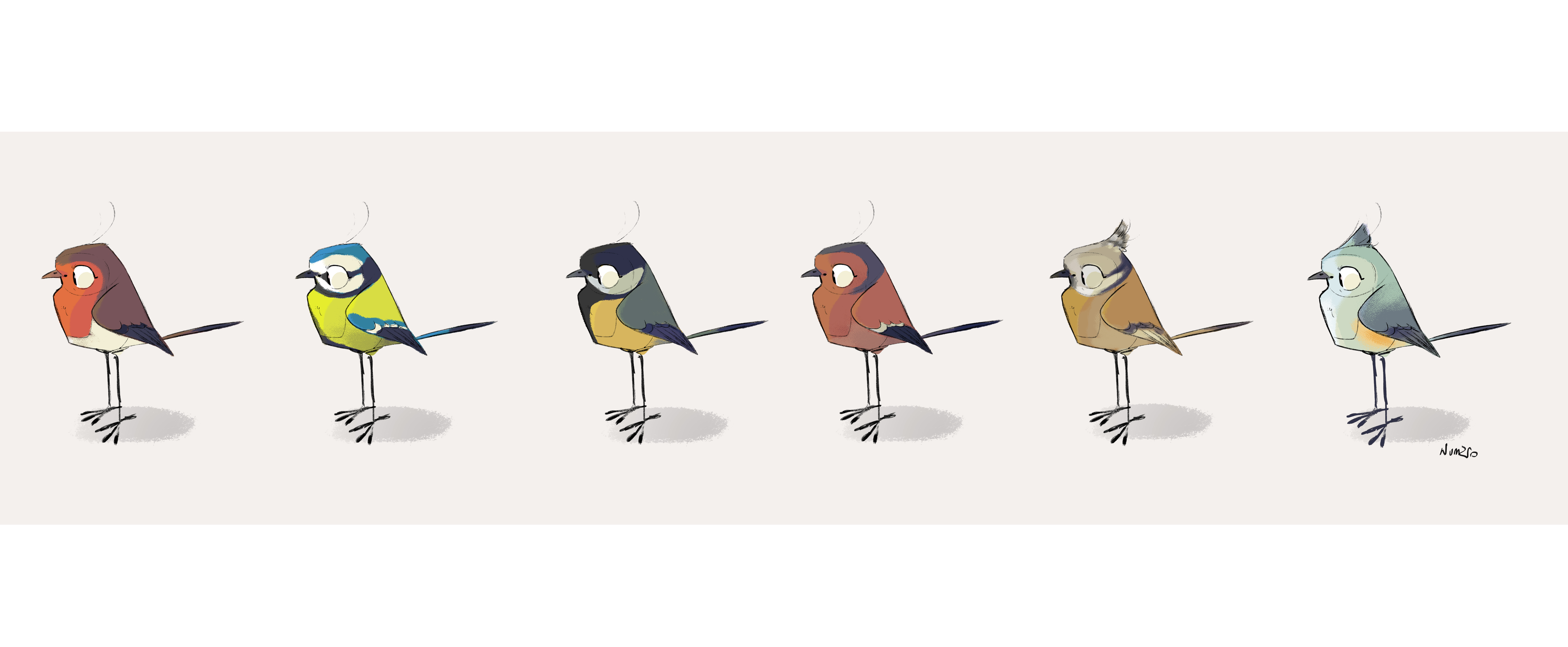 Birds