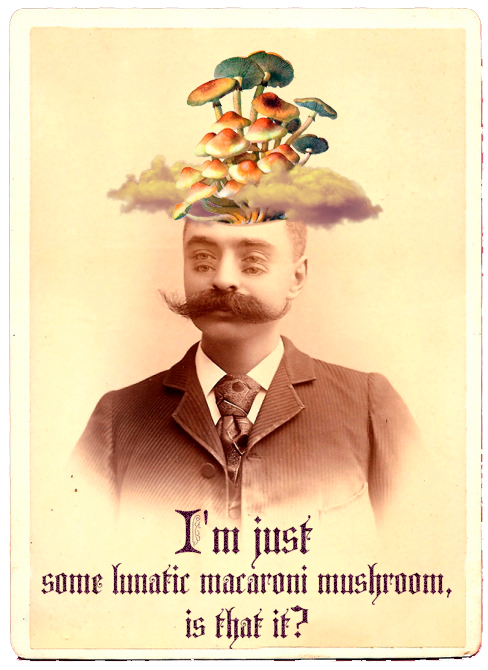 Mushrooms Feeling