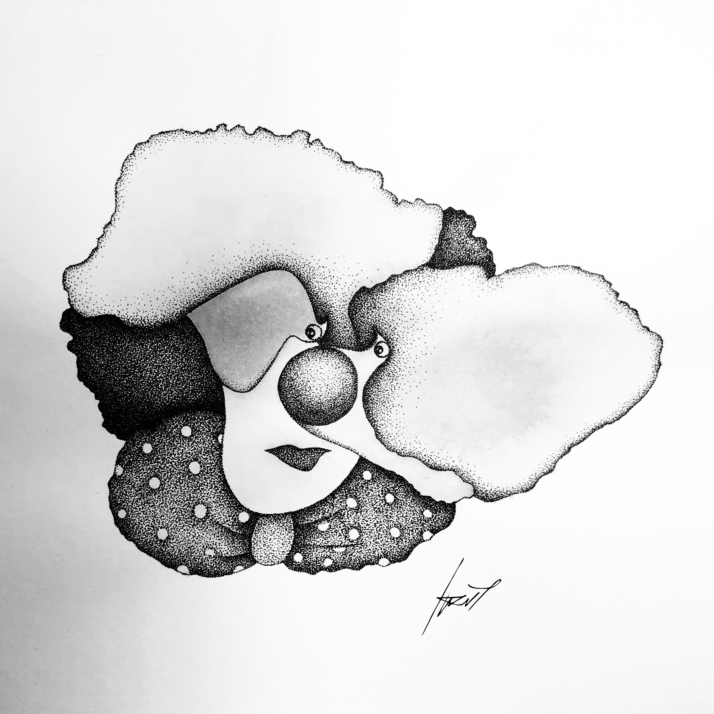 Mr. Clown