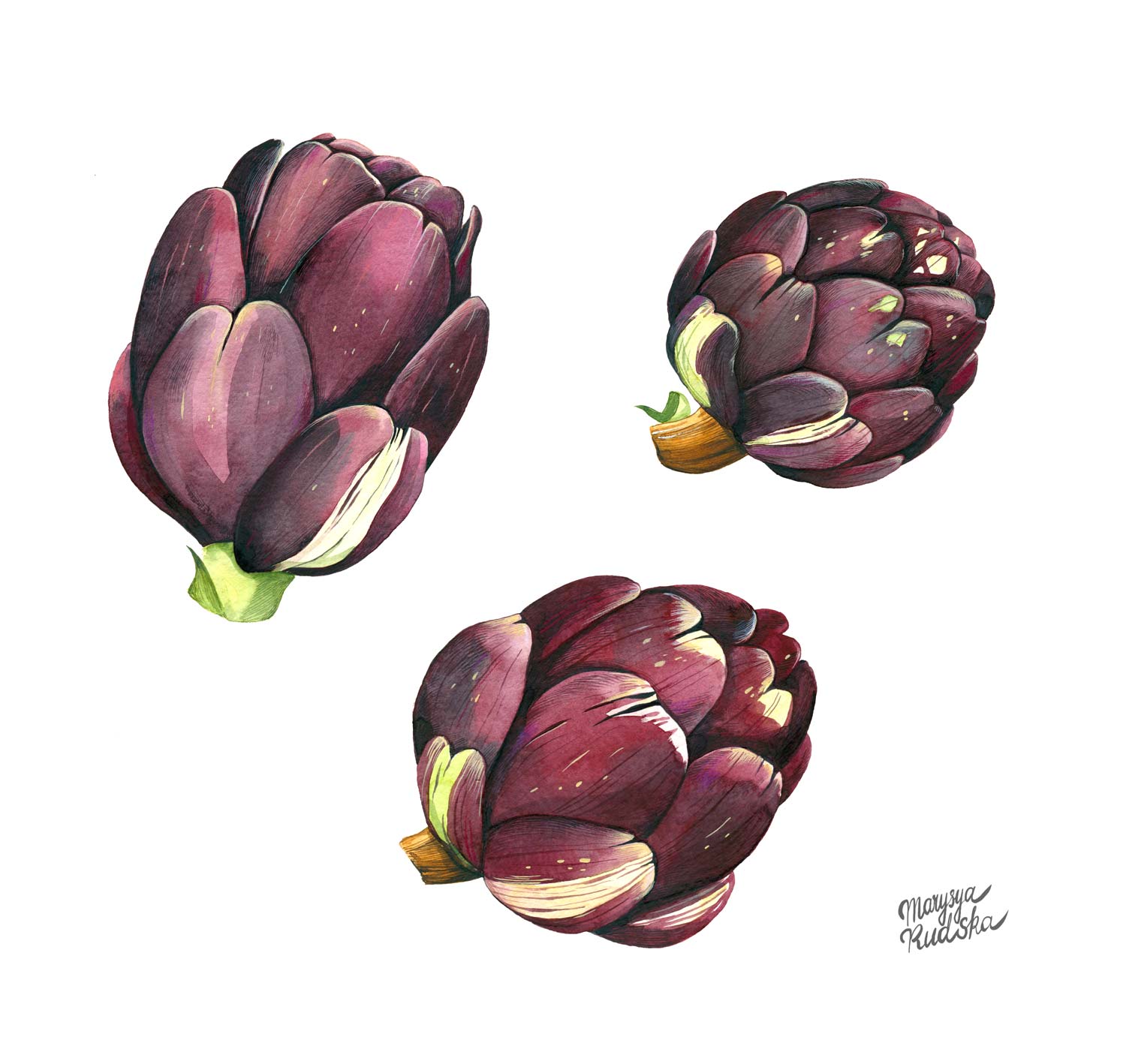 Artichoke
