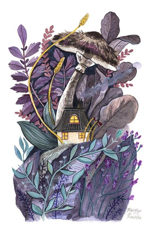Cosy House
