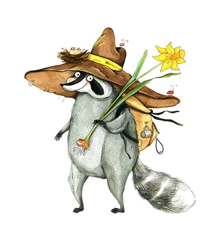 Racoon