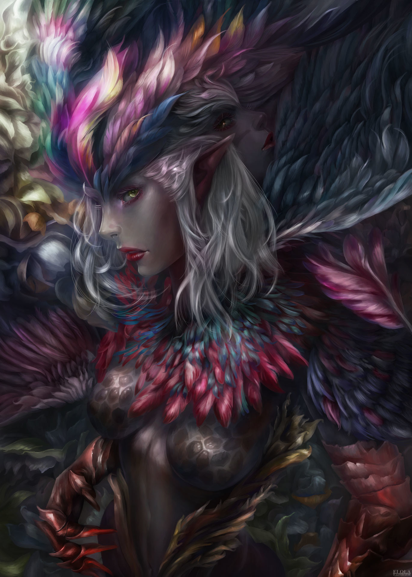 elola illustrator op ch4 1