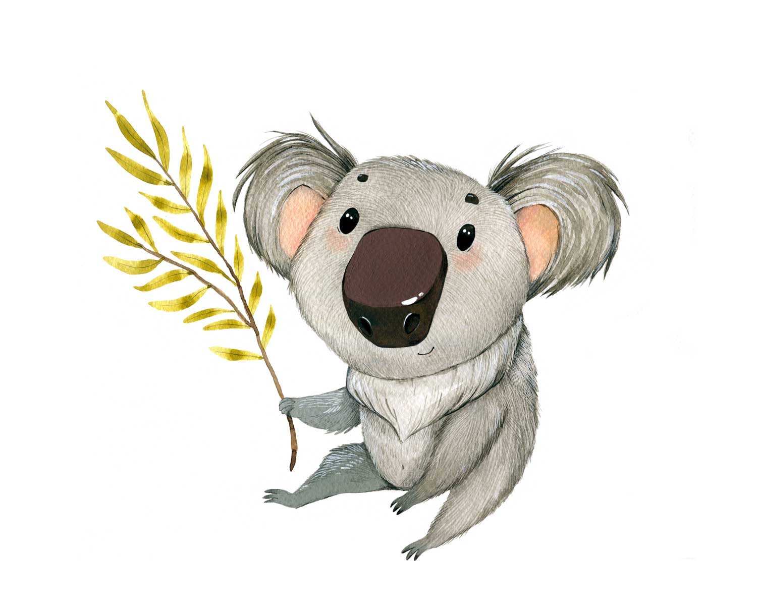 Koala