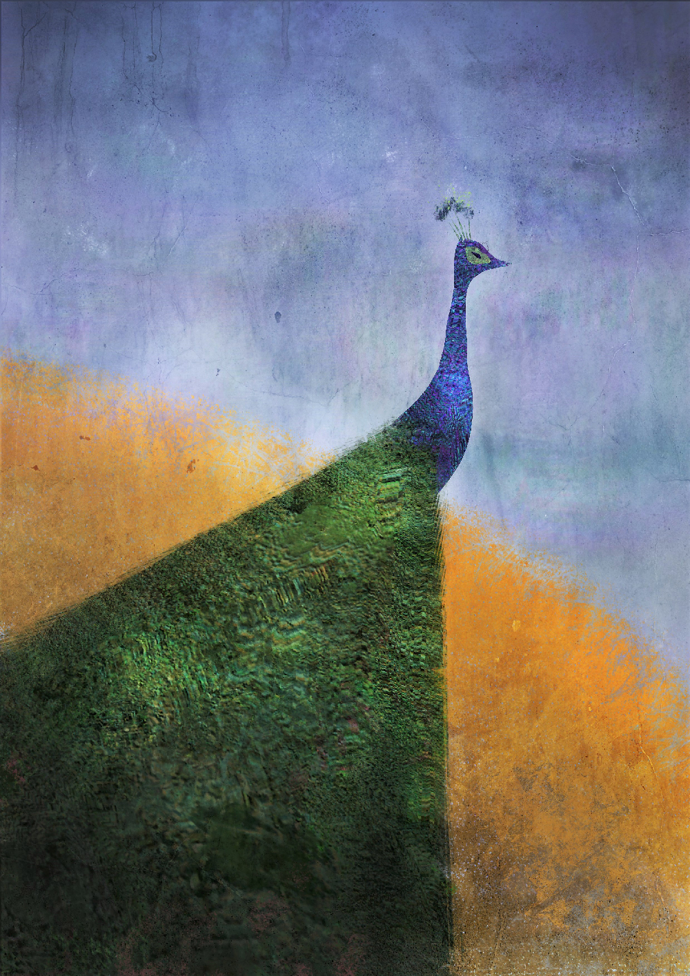 peackok