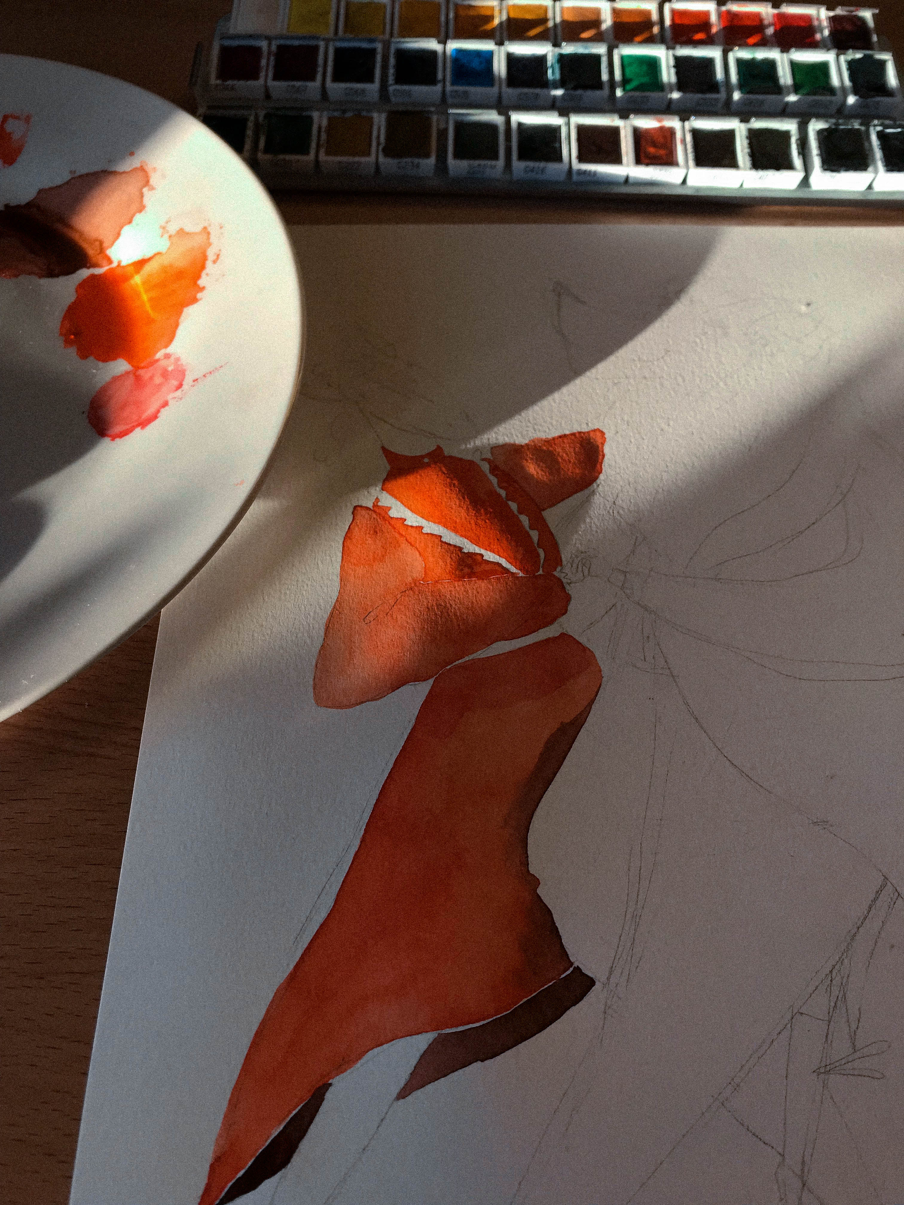 Safari wip