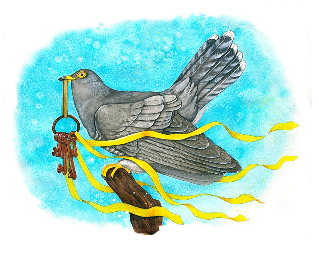 Common Cuckoo (Cuculus canorus)