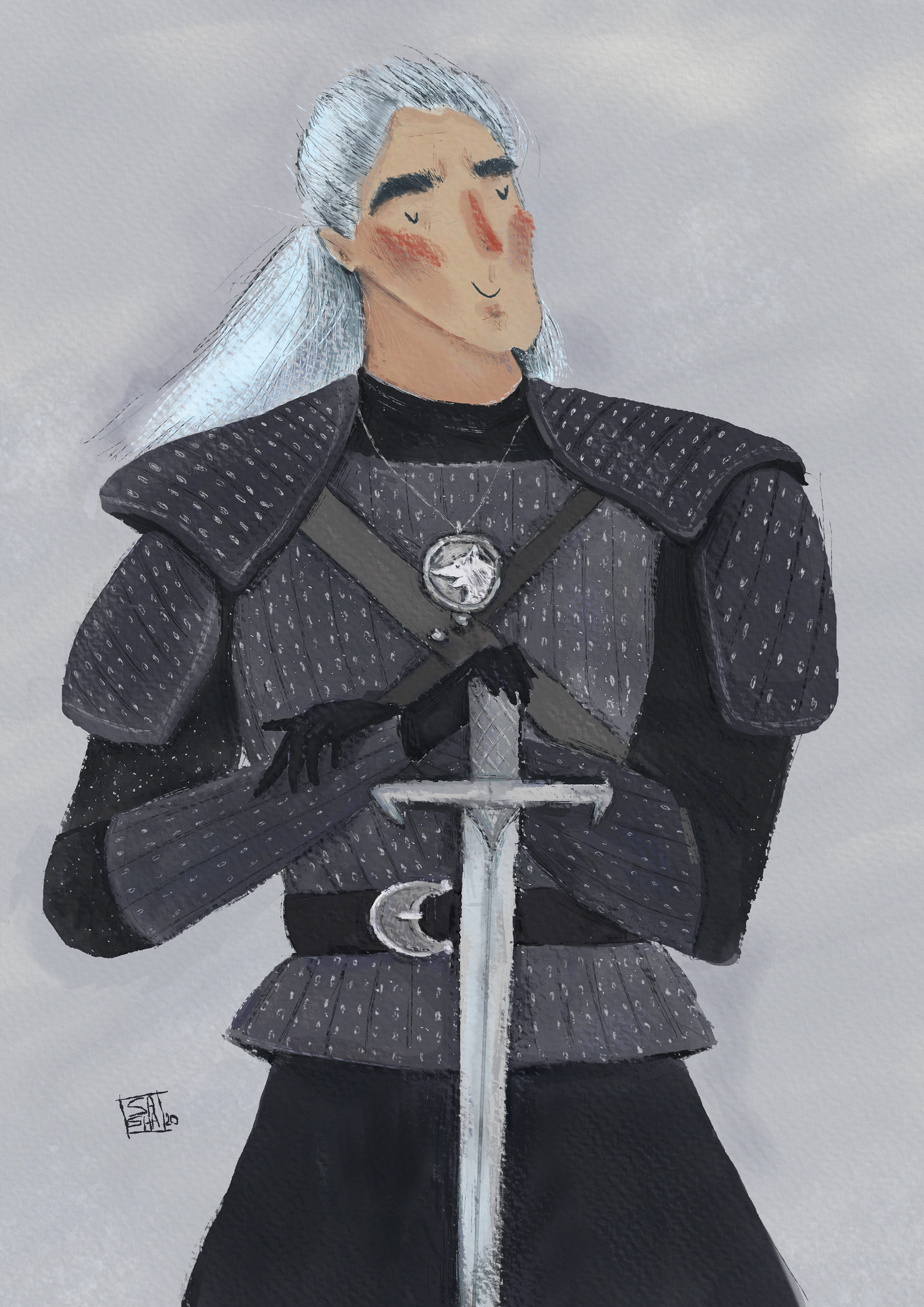 the witcher