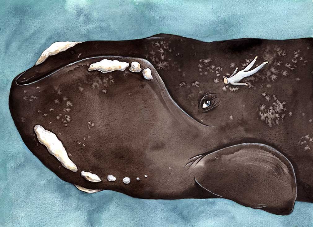 Right whale