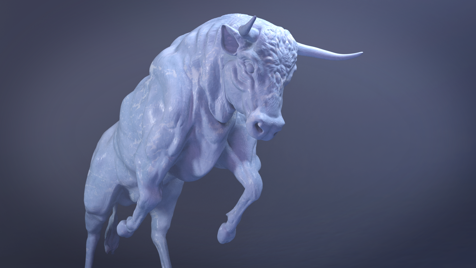 bull 6