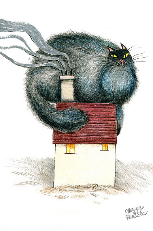 Cosy Cat