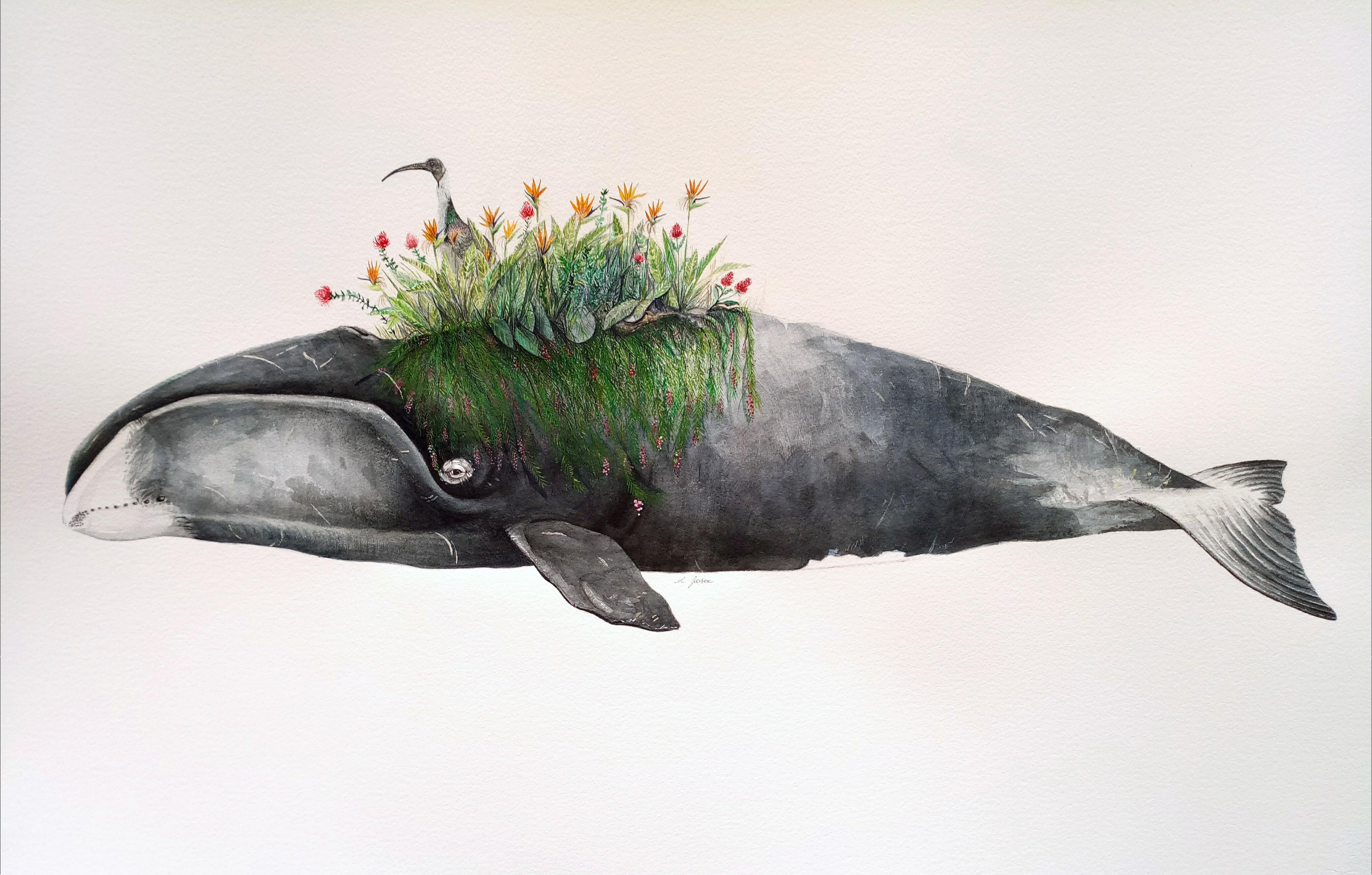 Migrant garden