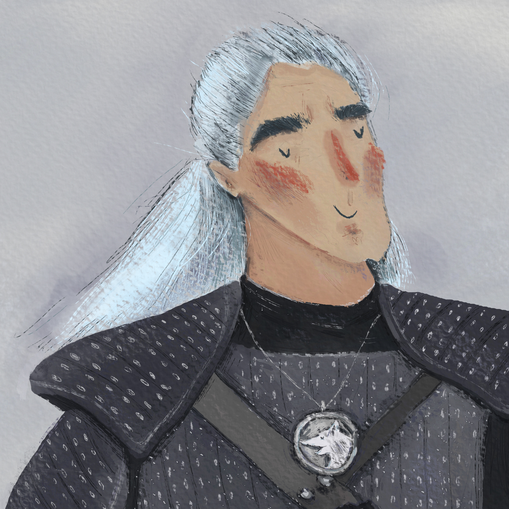 the witcher