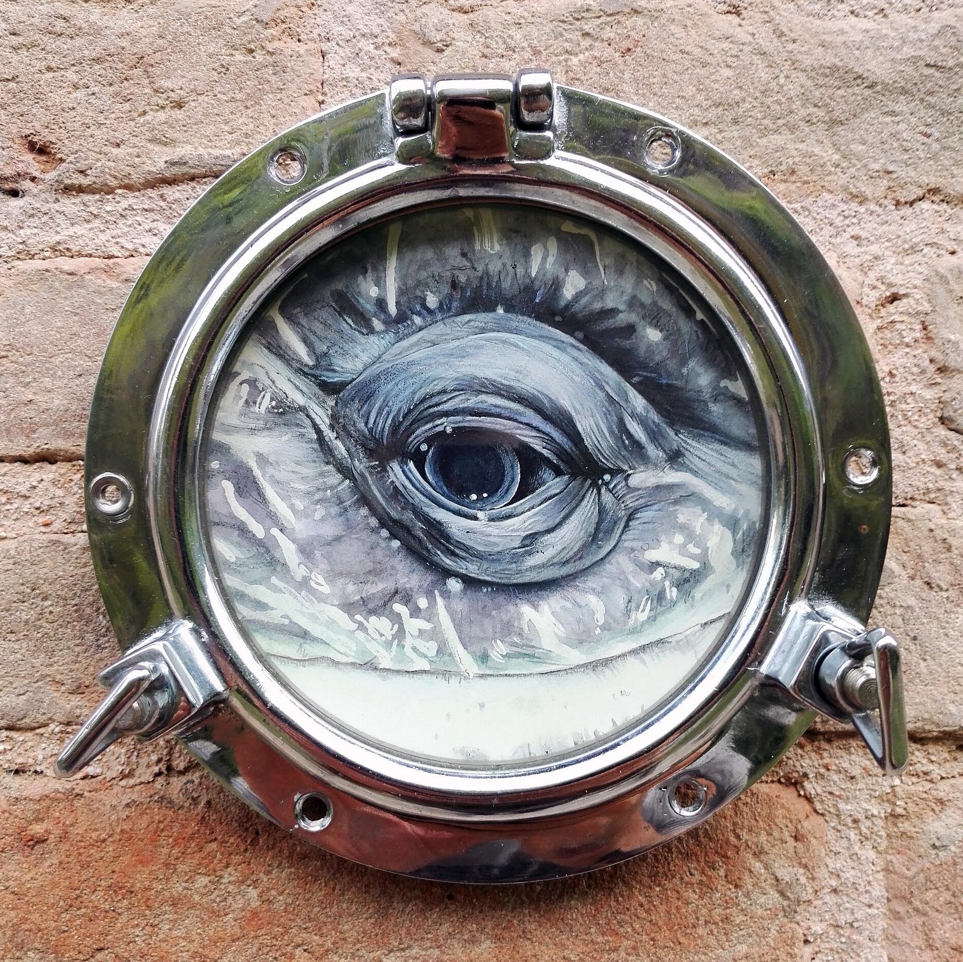 Occhio di balena