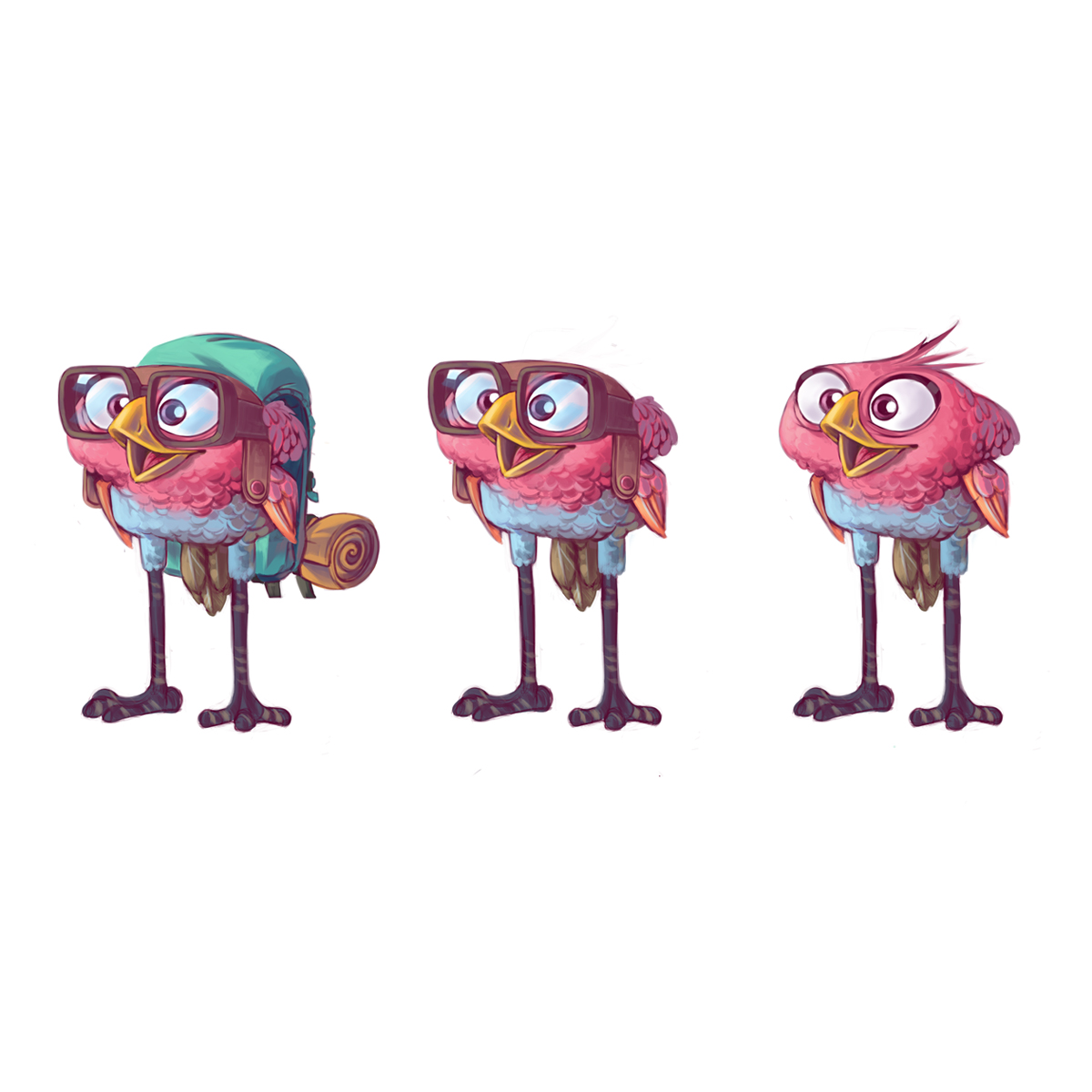 bird