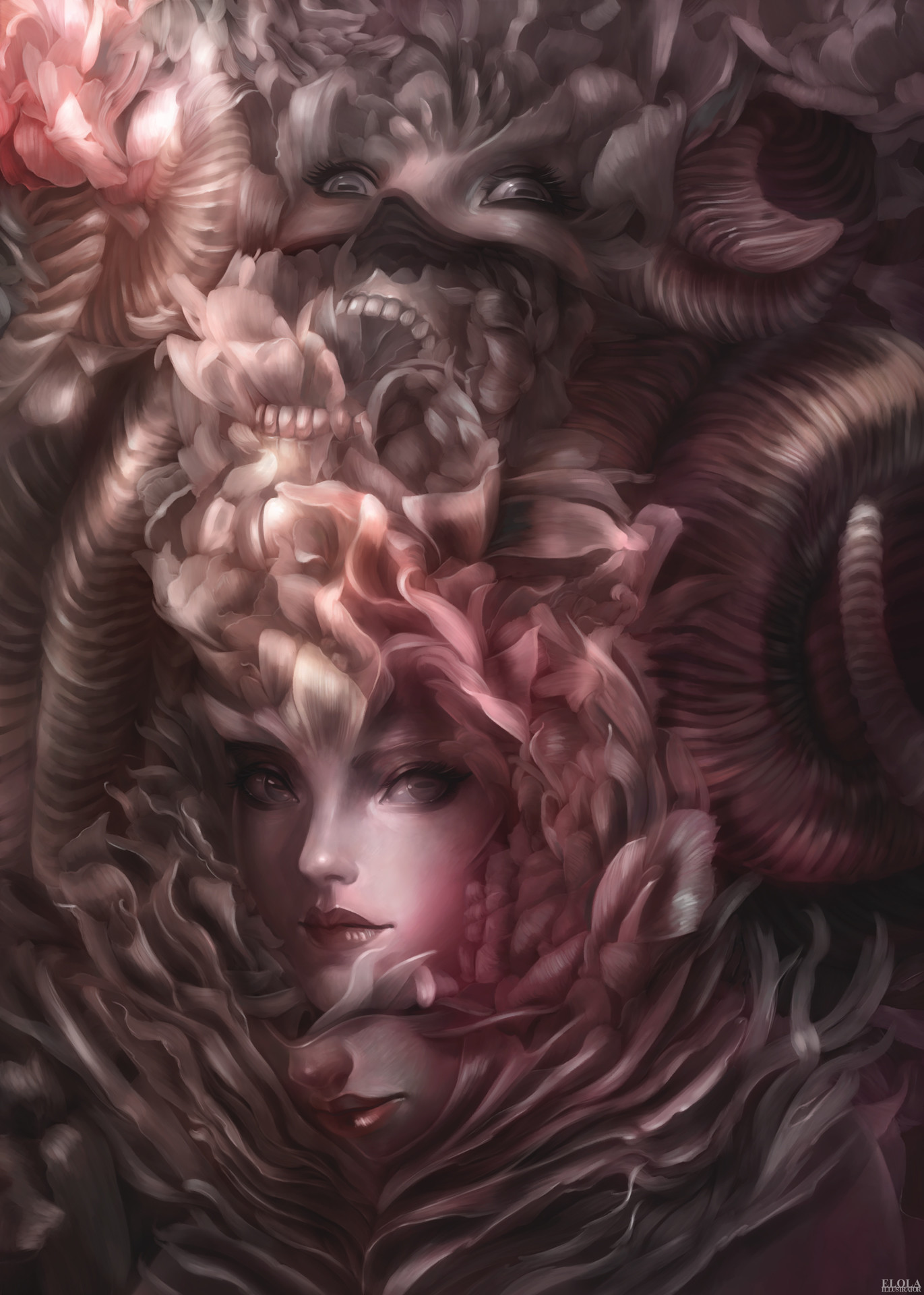 elola illustrator op ch3 11