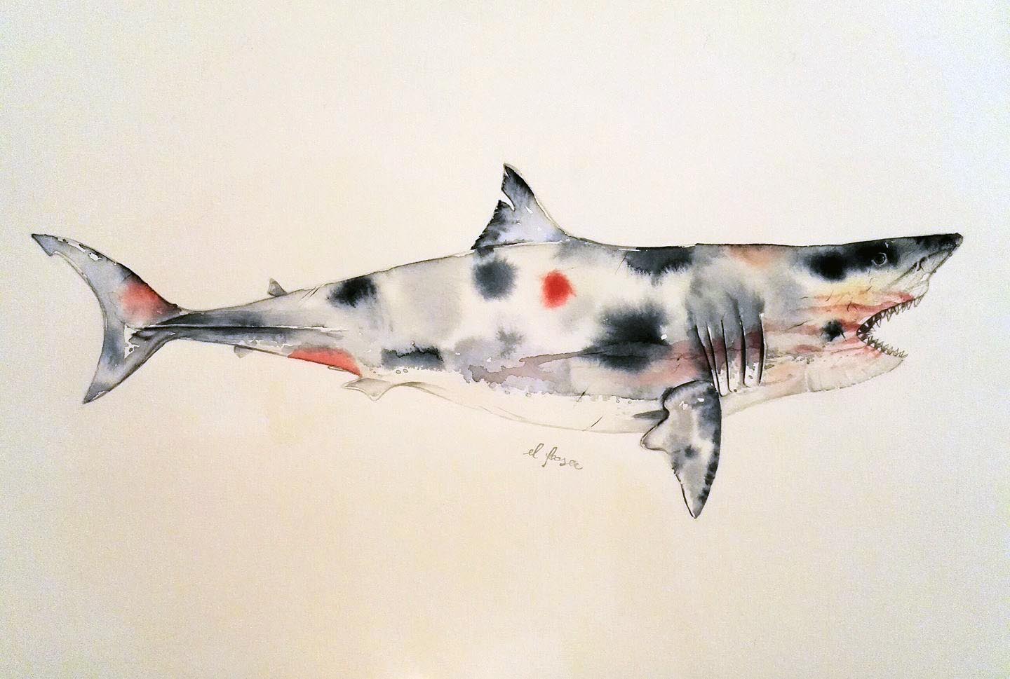 Spotted white shark