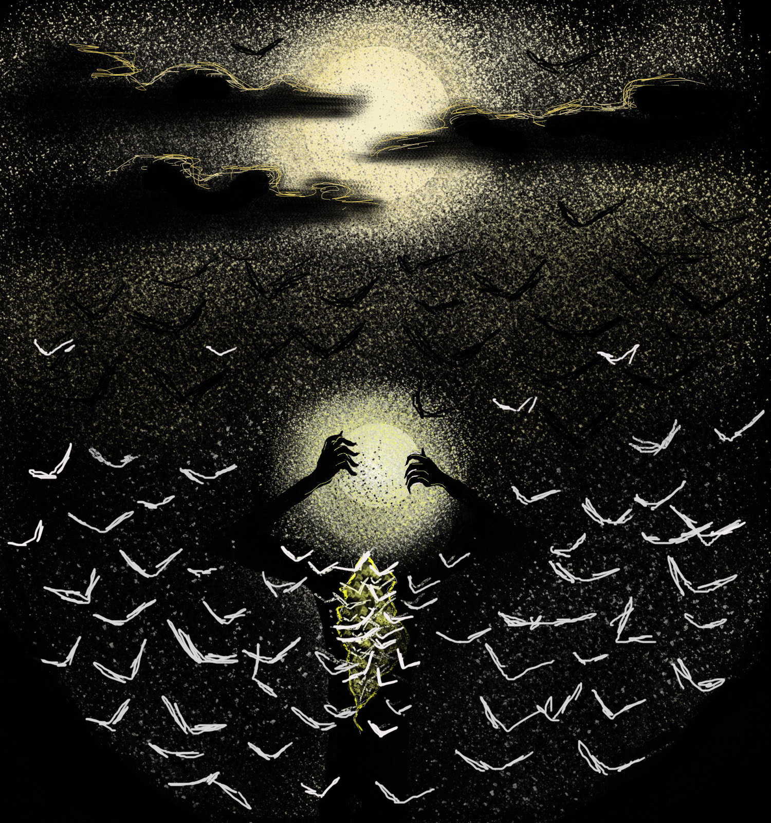 Moonlight