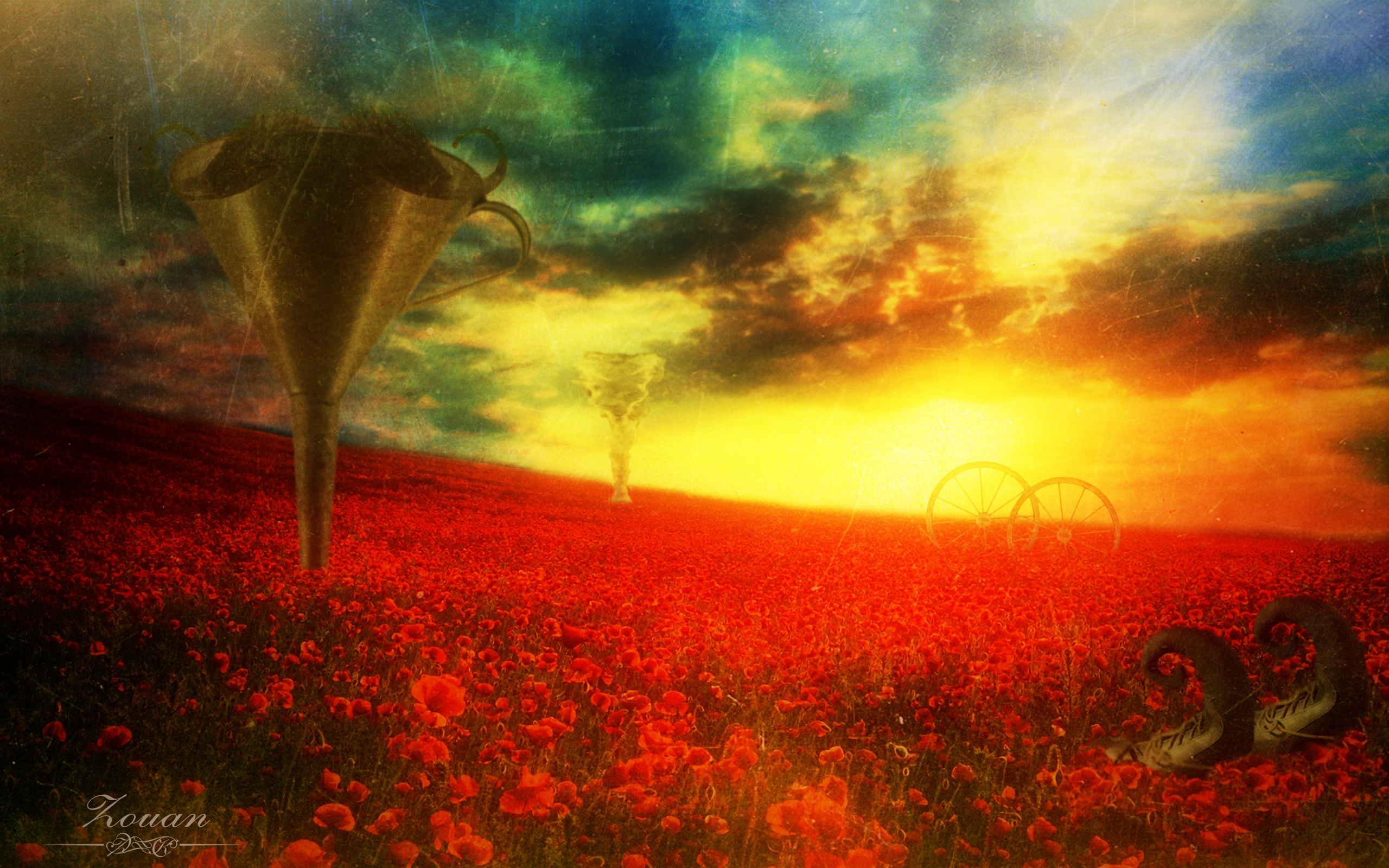 poppies (0 00 00 00)