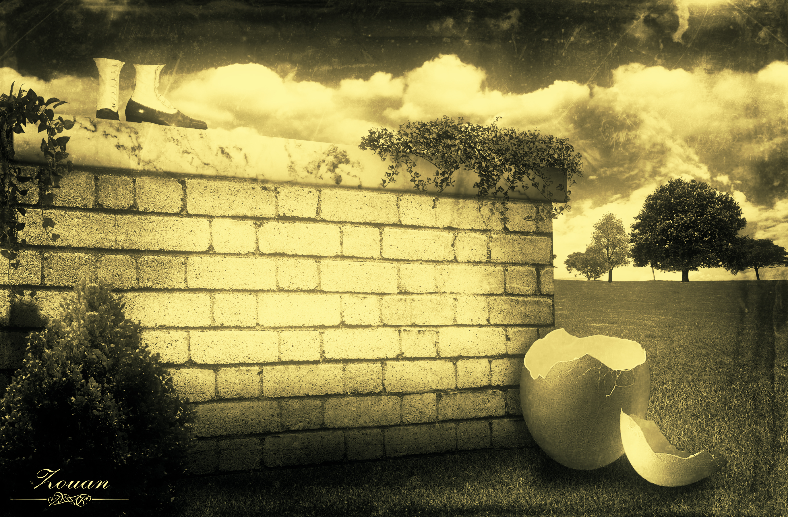 I'm a little bird that has broken out of the egg.