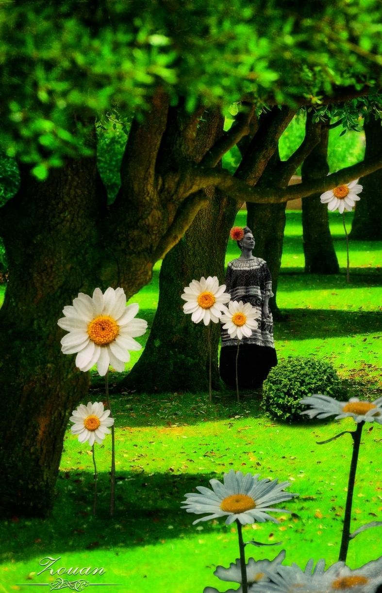 Frida Kahlo's Flower Garden (14)