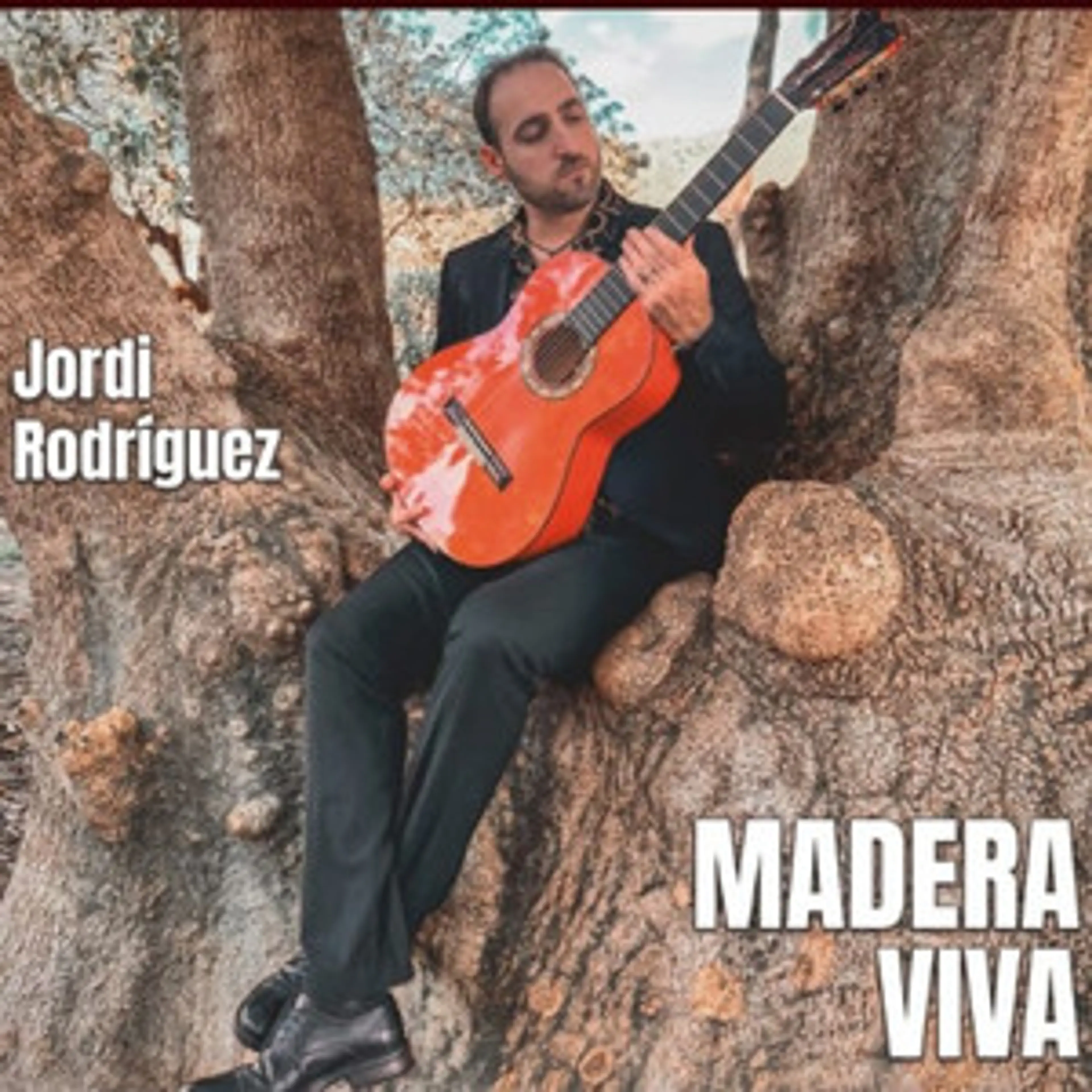 MADERA VIVA