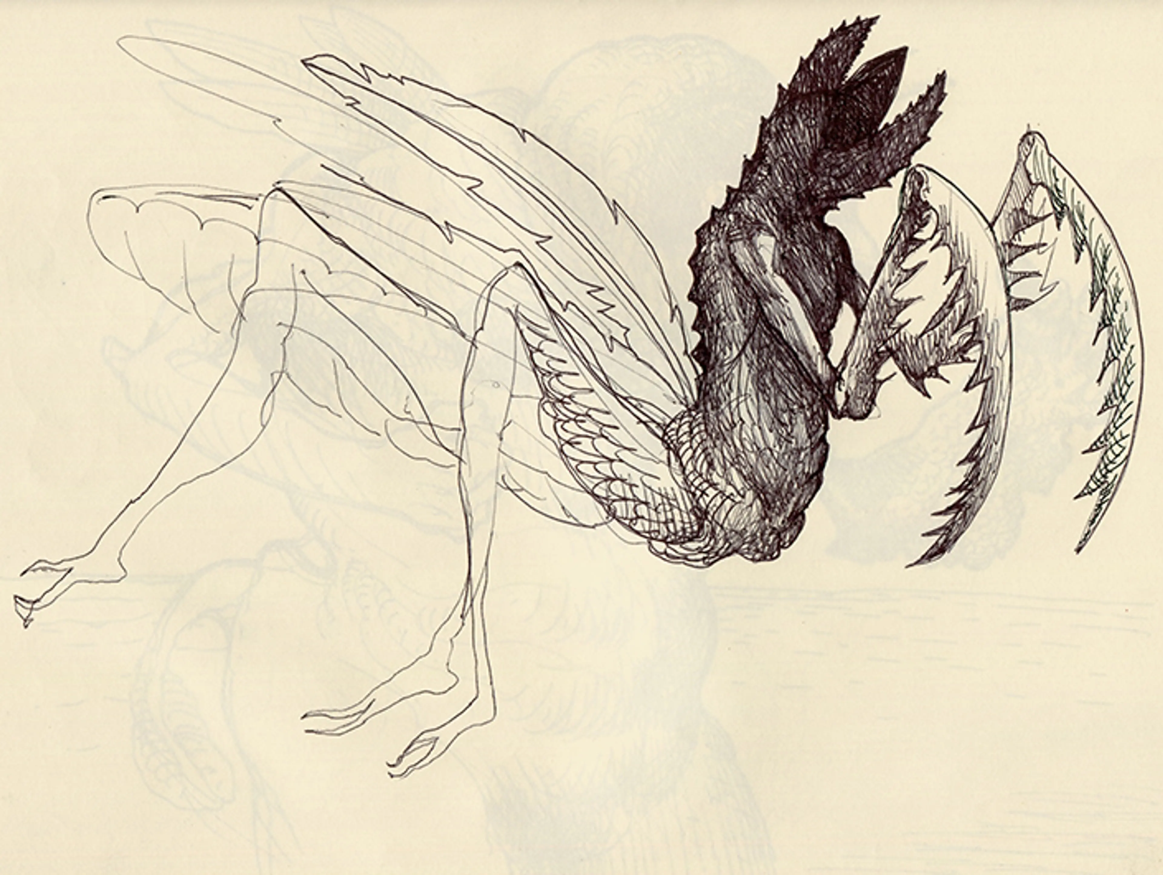 Dibujo 05