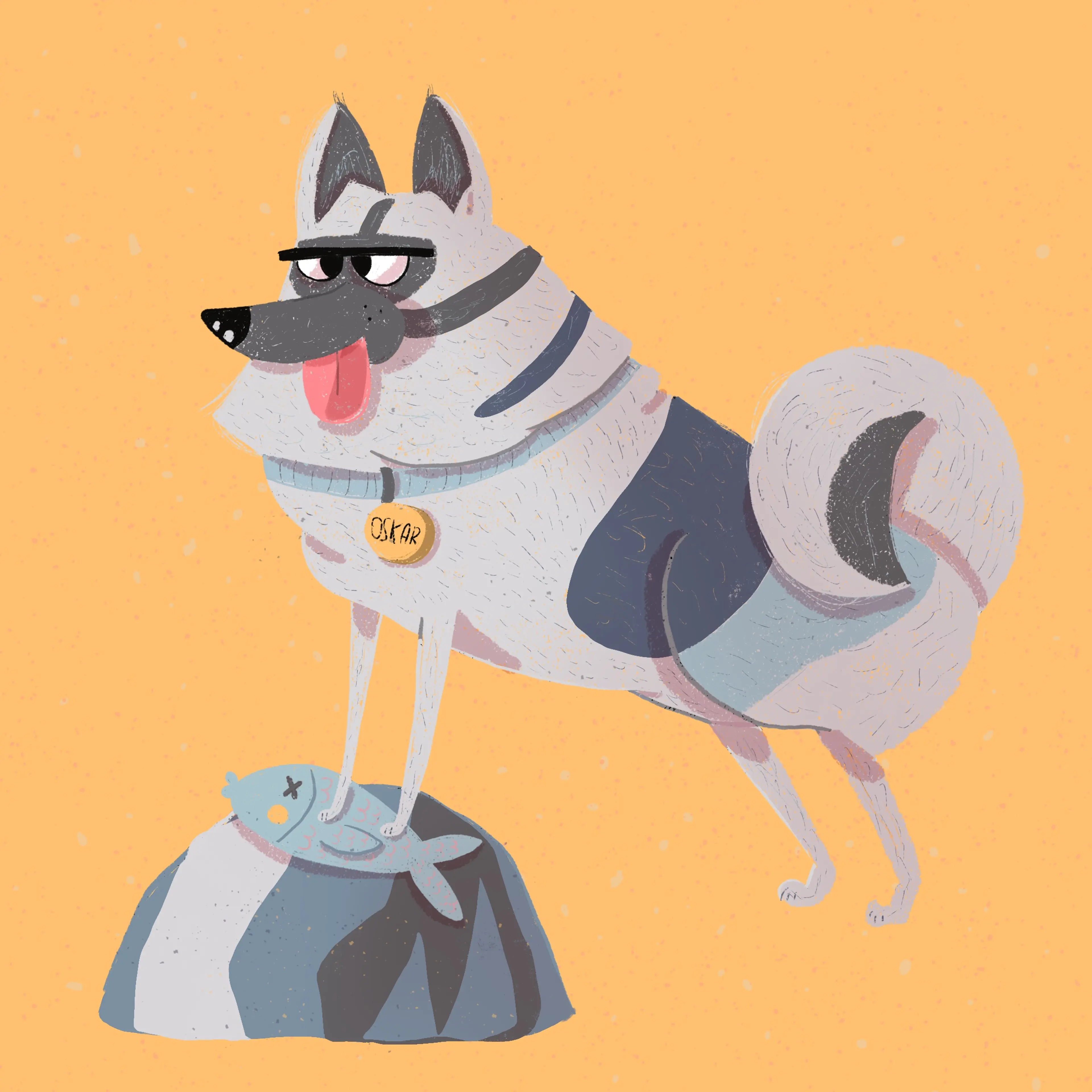 Finnish Lapphund