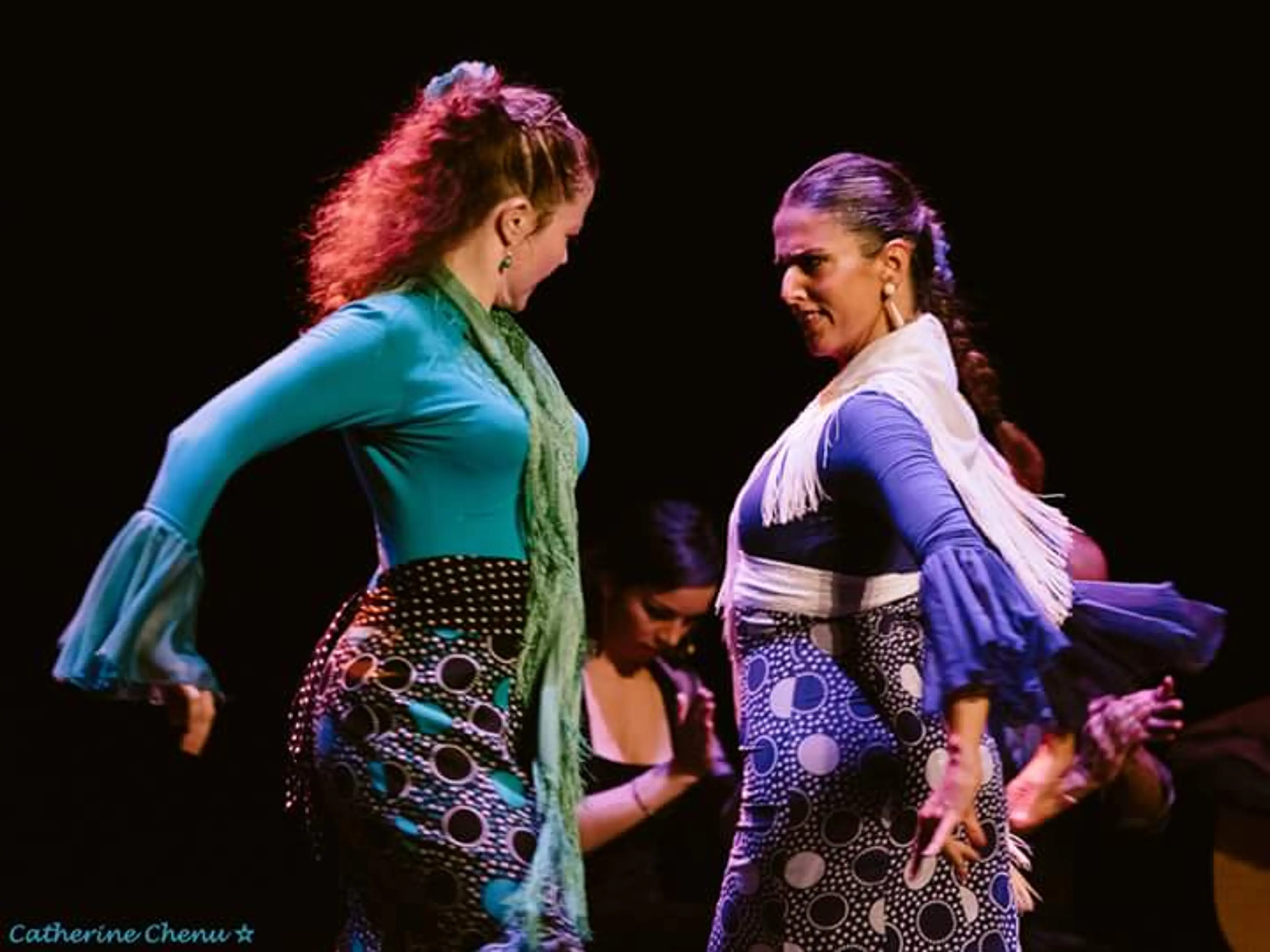 Flamenco 02