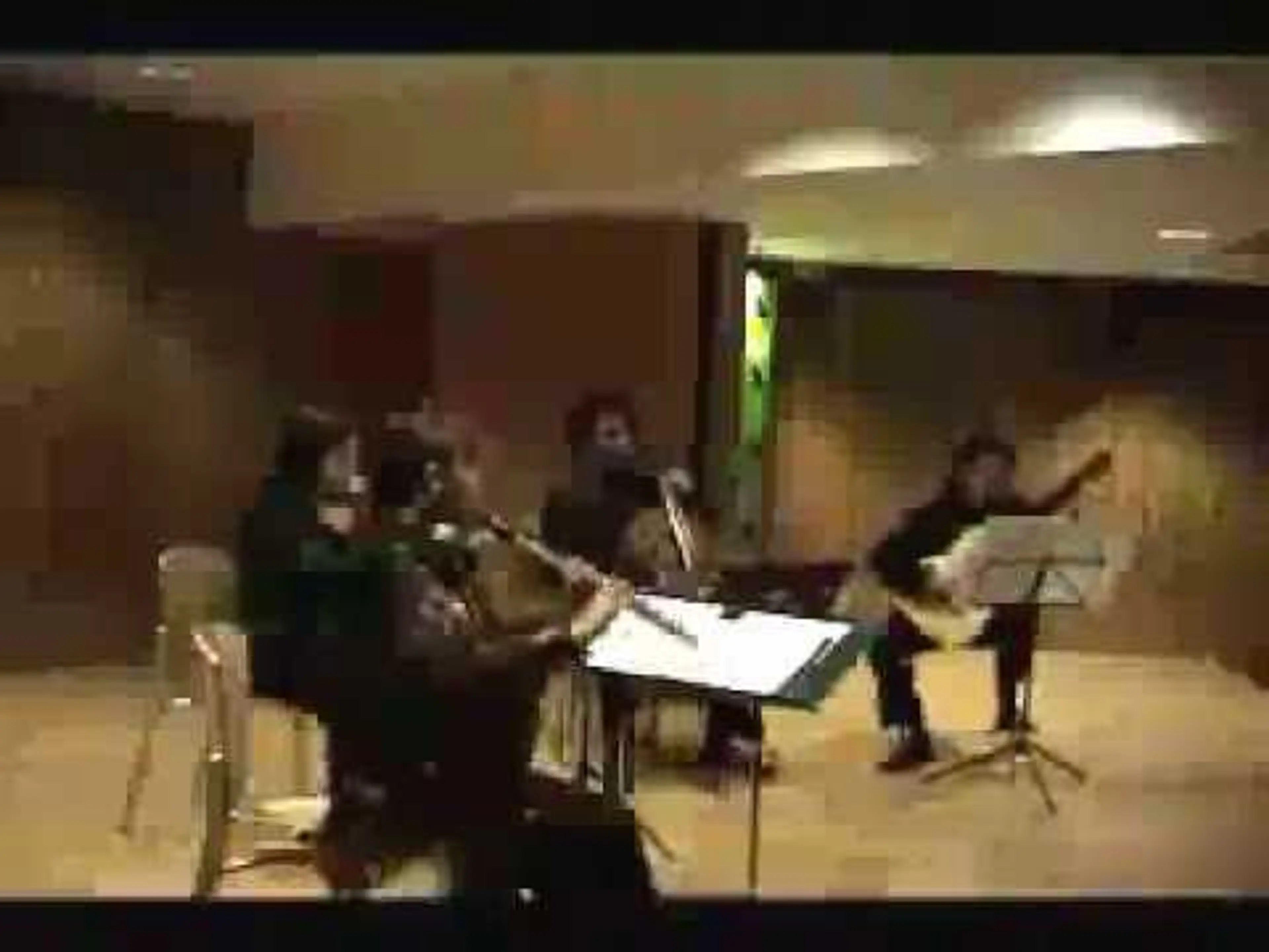 Camerata Barcelona - Quartet for Flute, Guitar, Viola & Violoncello, D.96, 1er movimiento