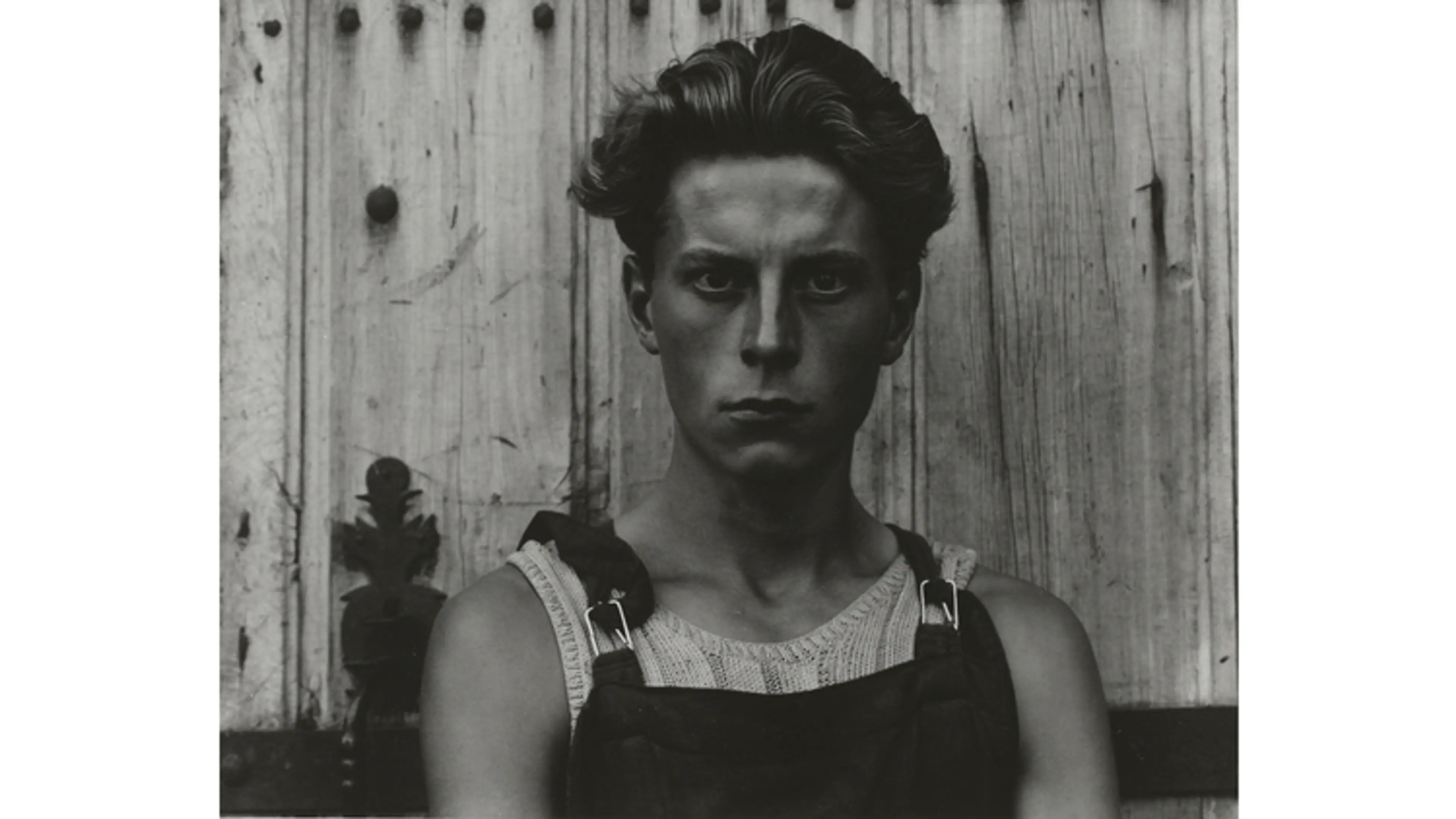 Paul Strand: Photography and Film for the 20th Century