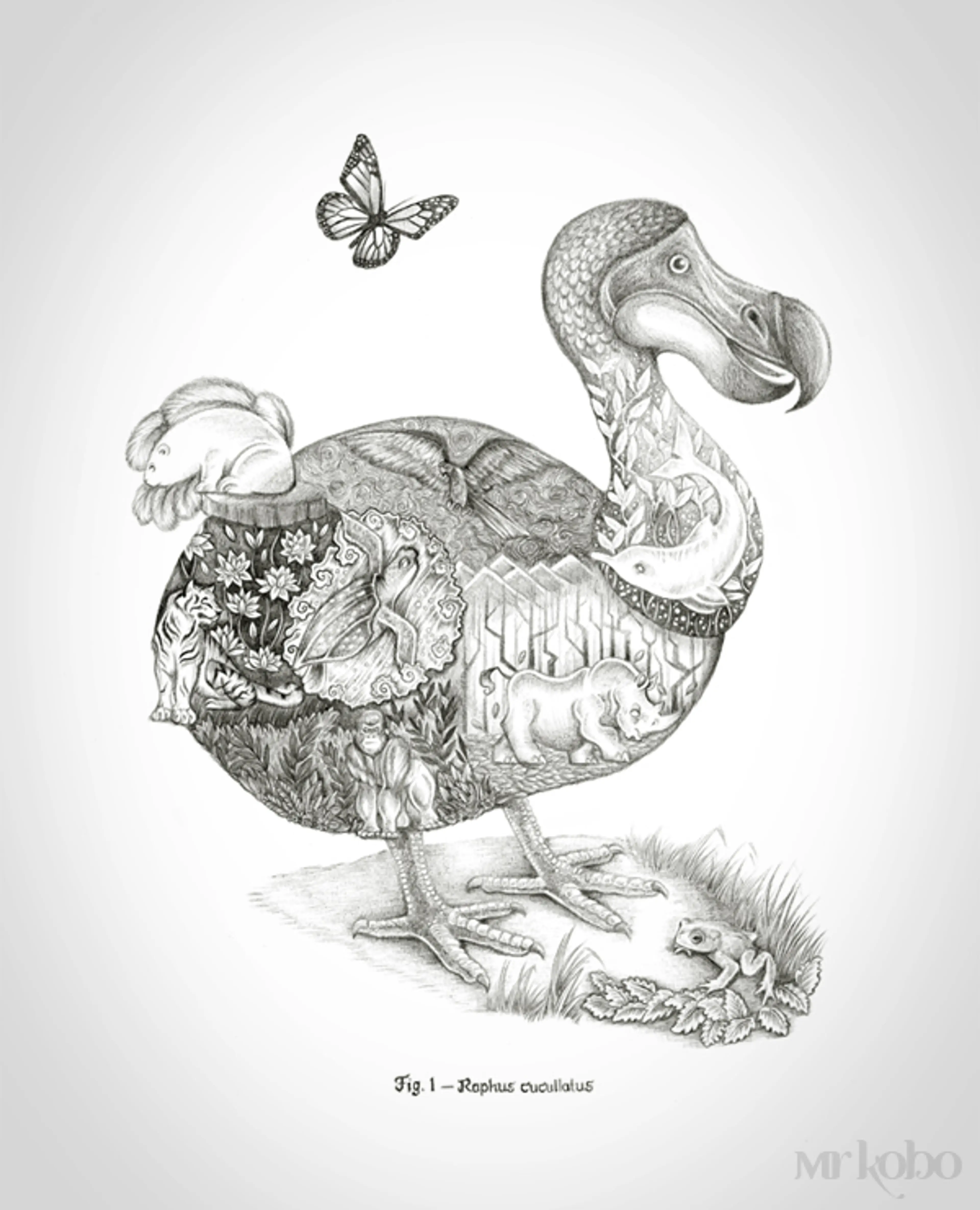 The way of Raphus Cucullatis