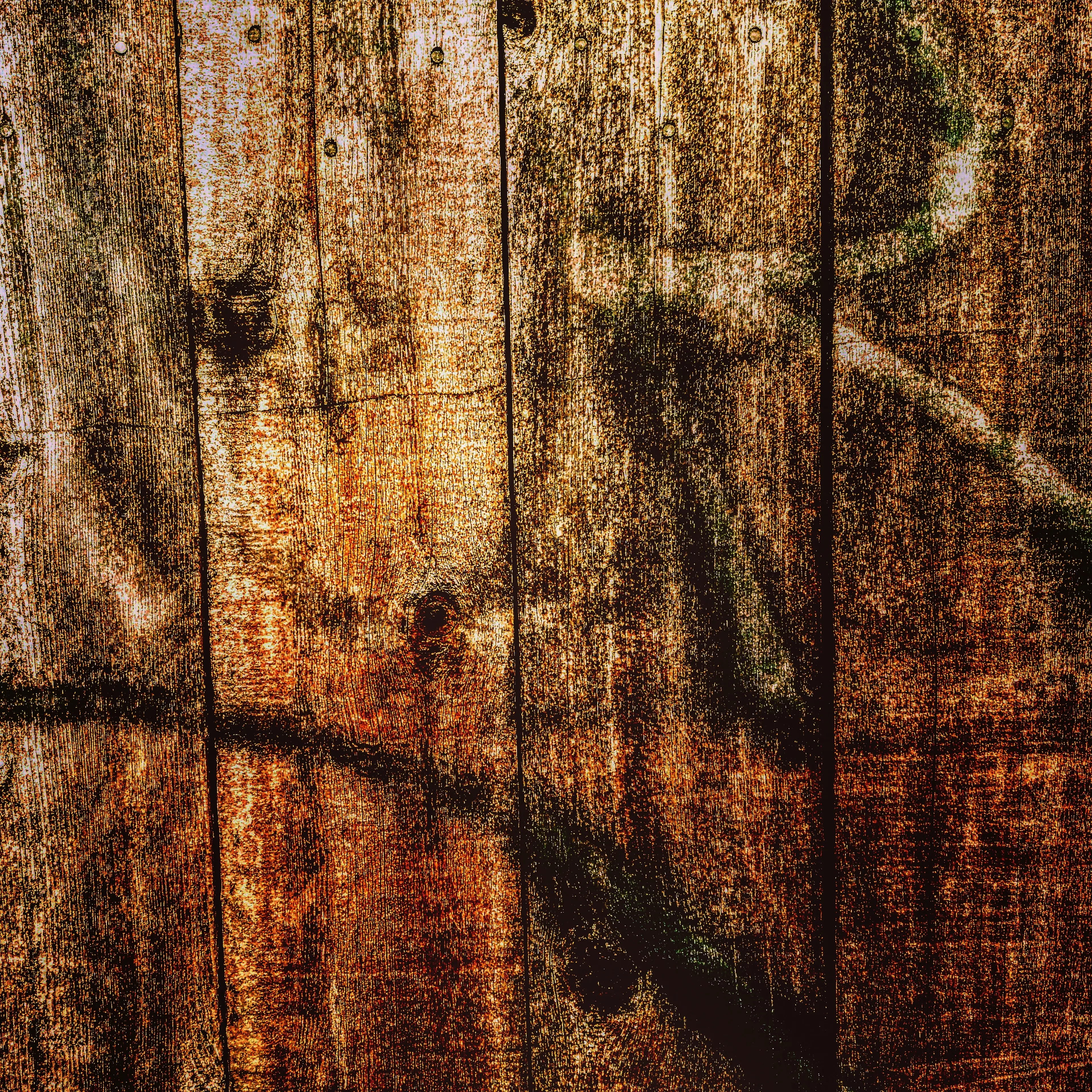 Fence #1.jpg