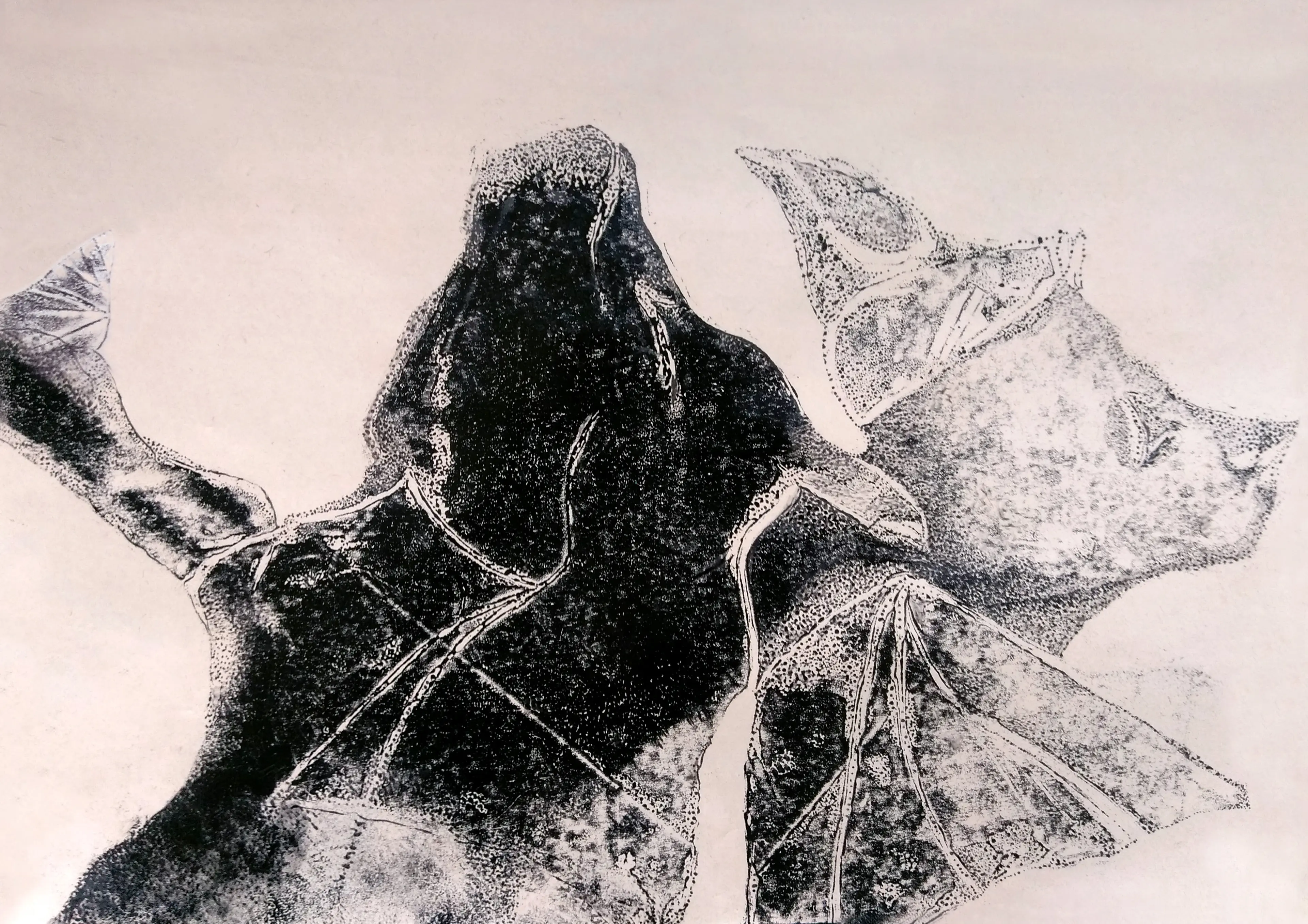 TWO GENERATIONS — Sanaz Haeri