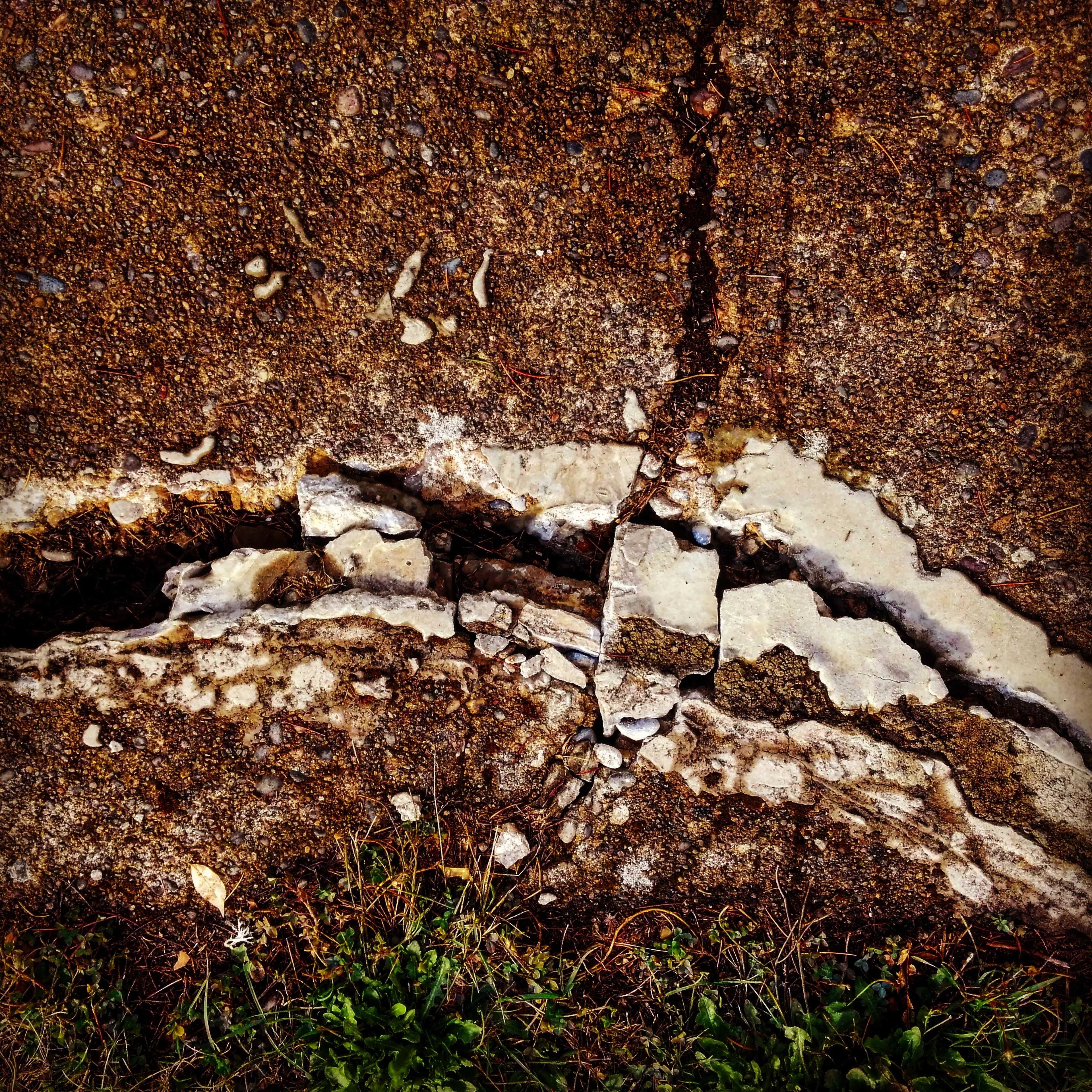 Tree Roots or Bad Engineering