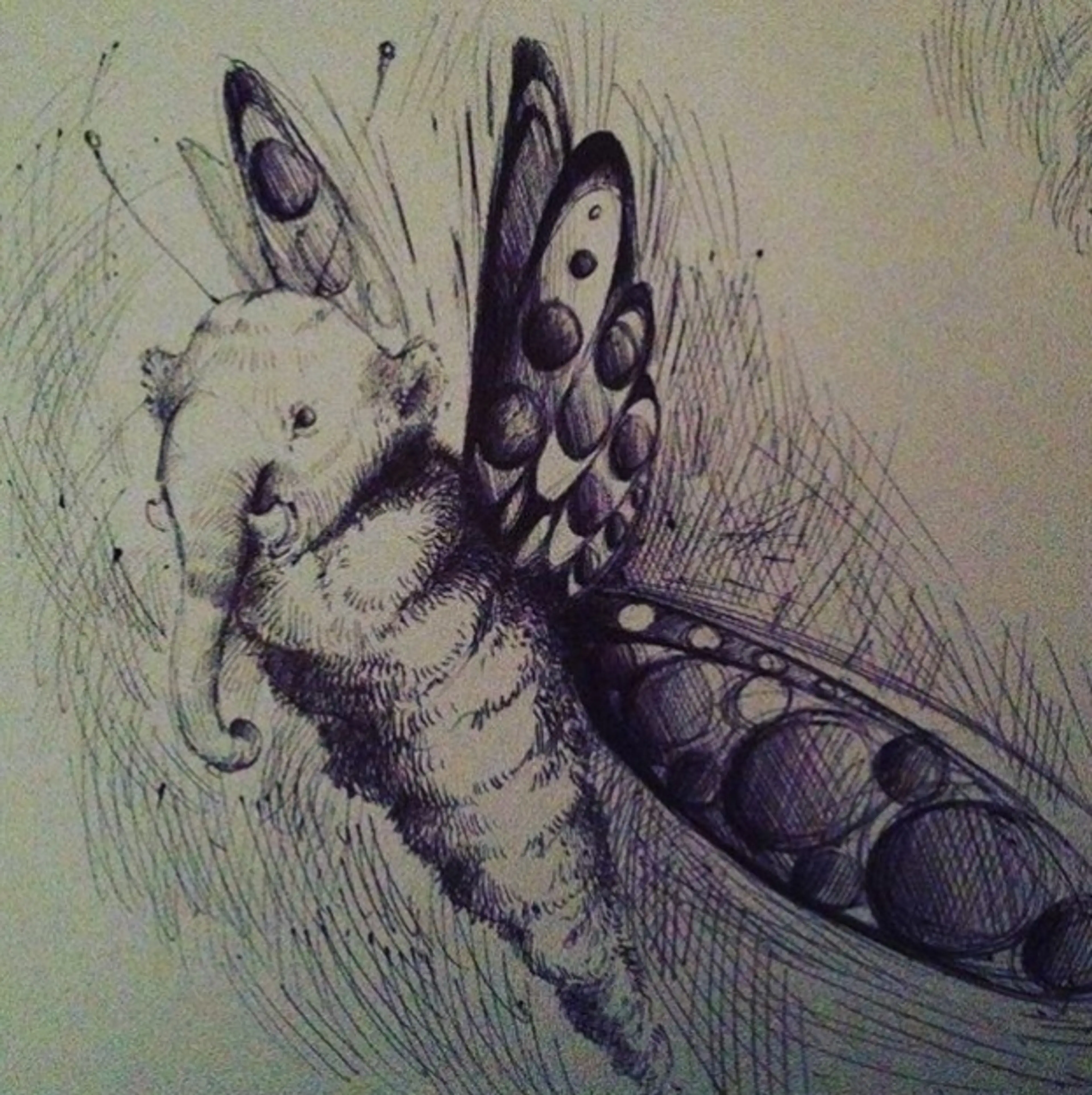 27