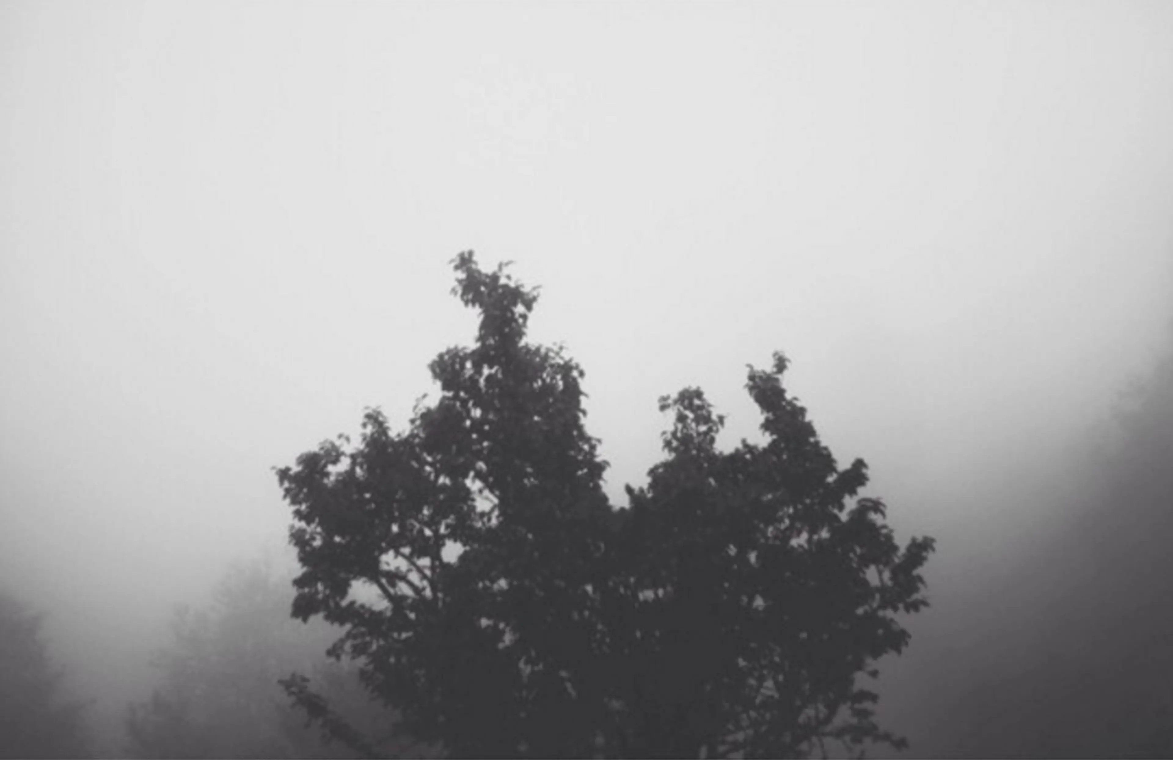 Screen Shot 2016 06 17 at 11.13.12 PM