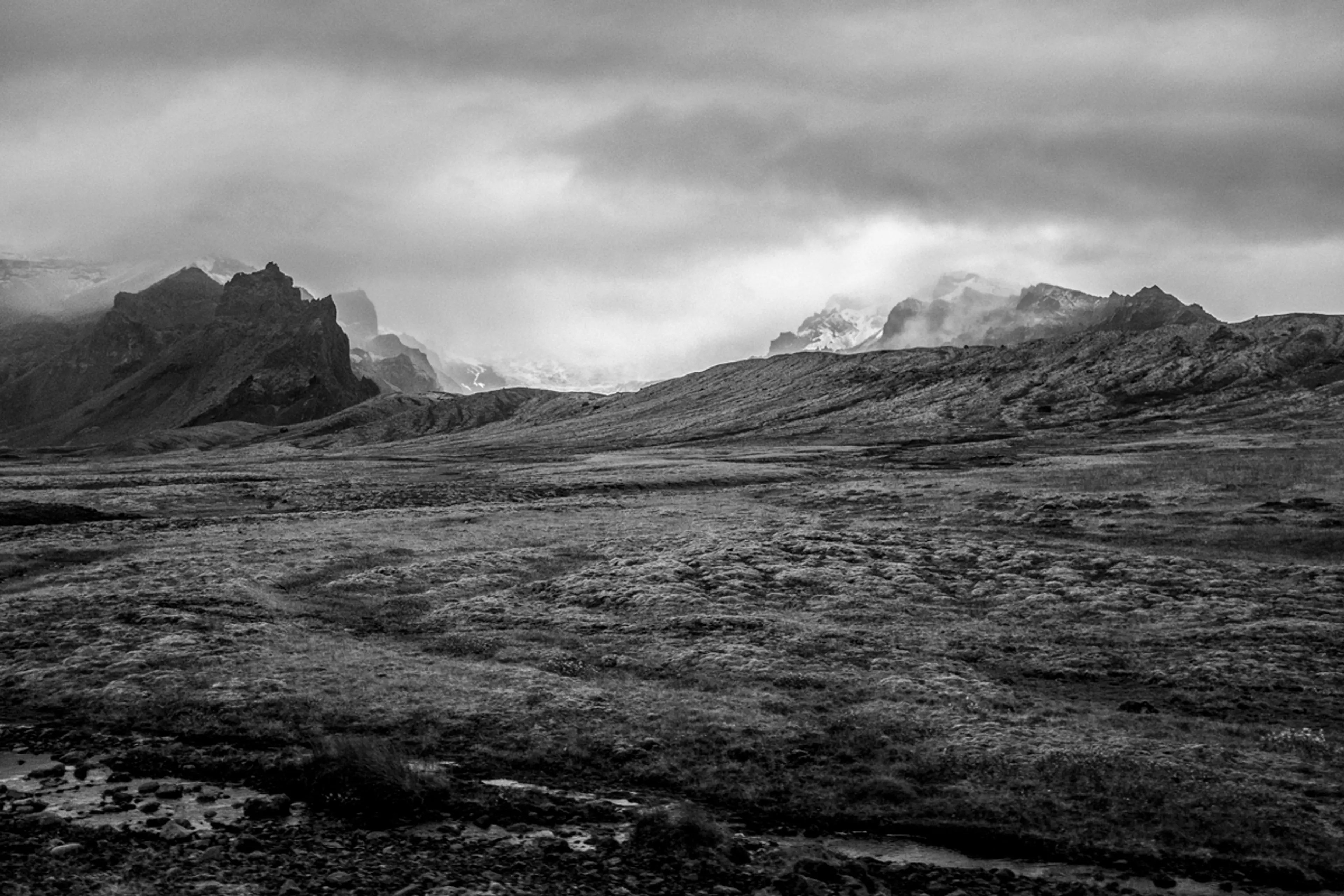 VII — Something for Windy — Photography