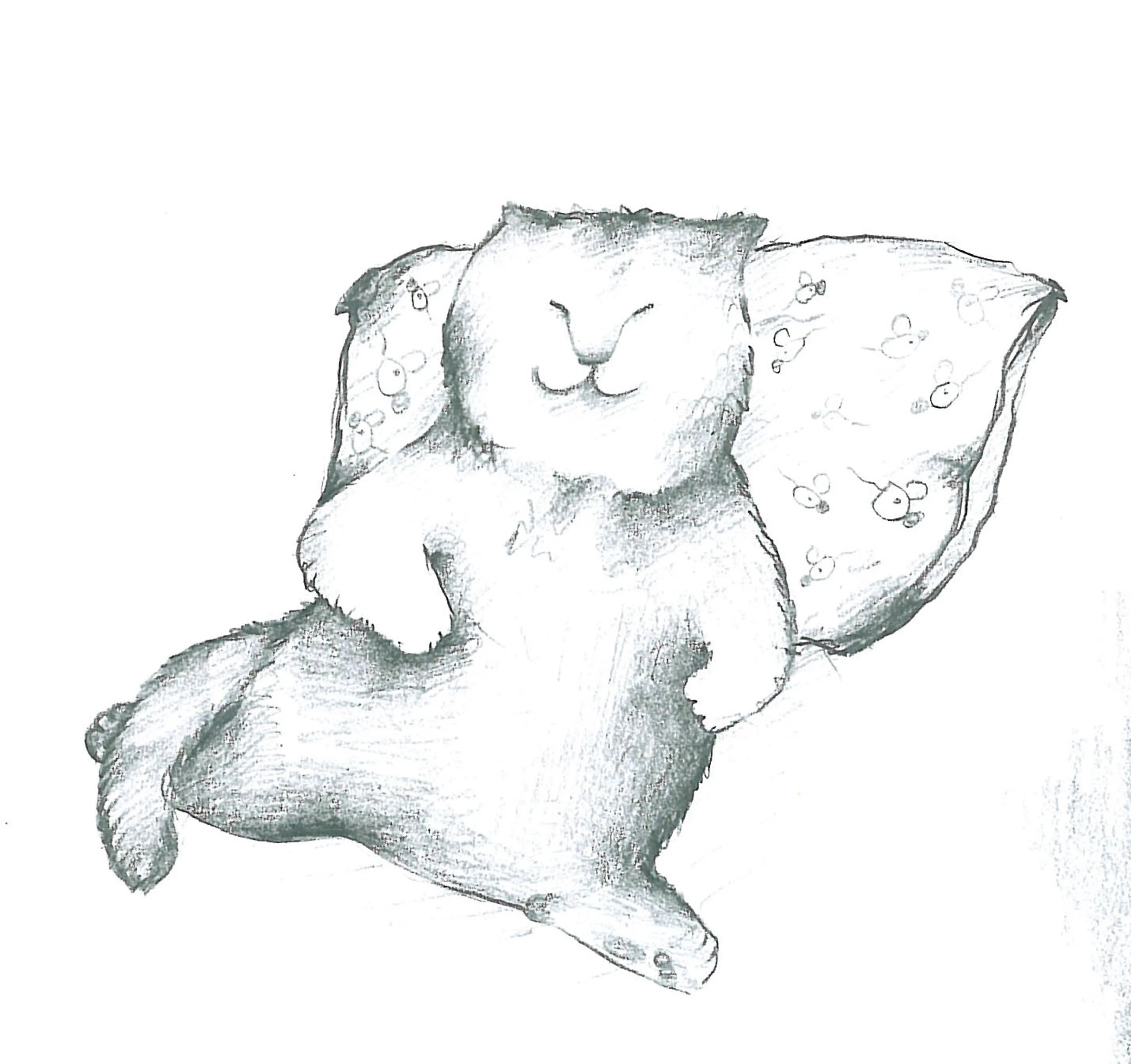 Animals (7)