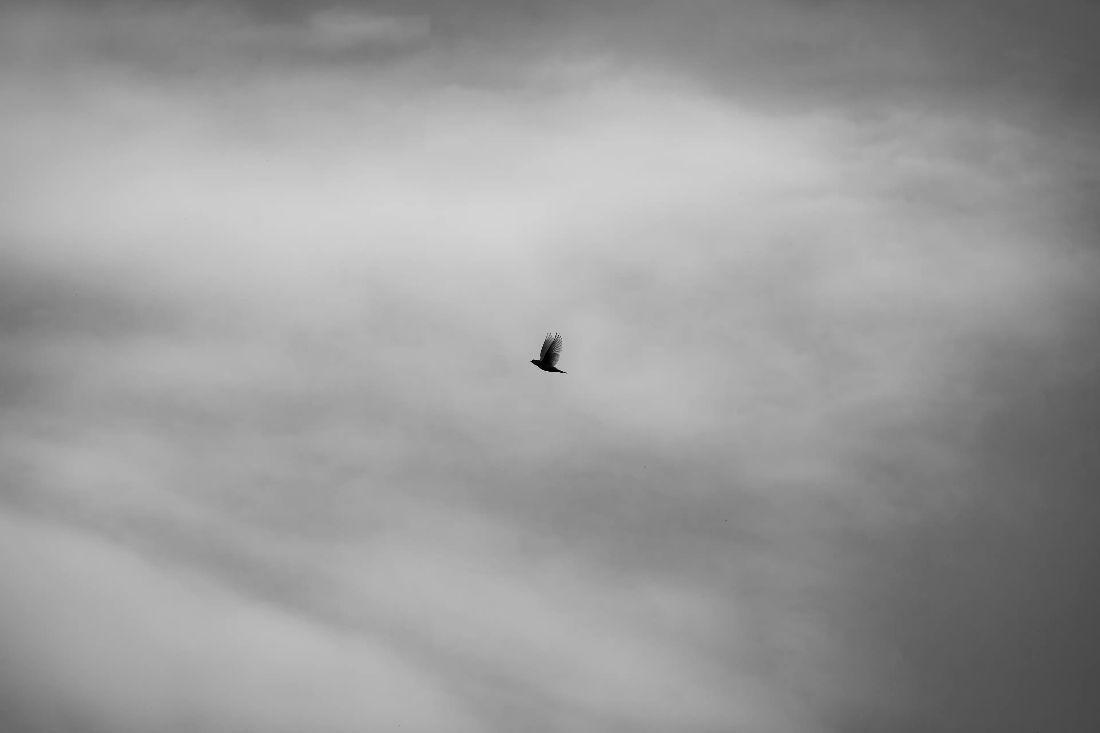 04