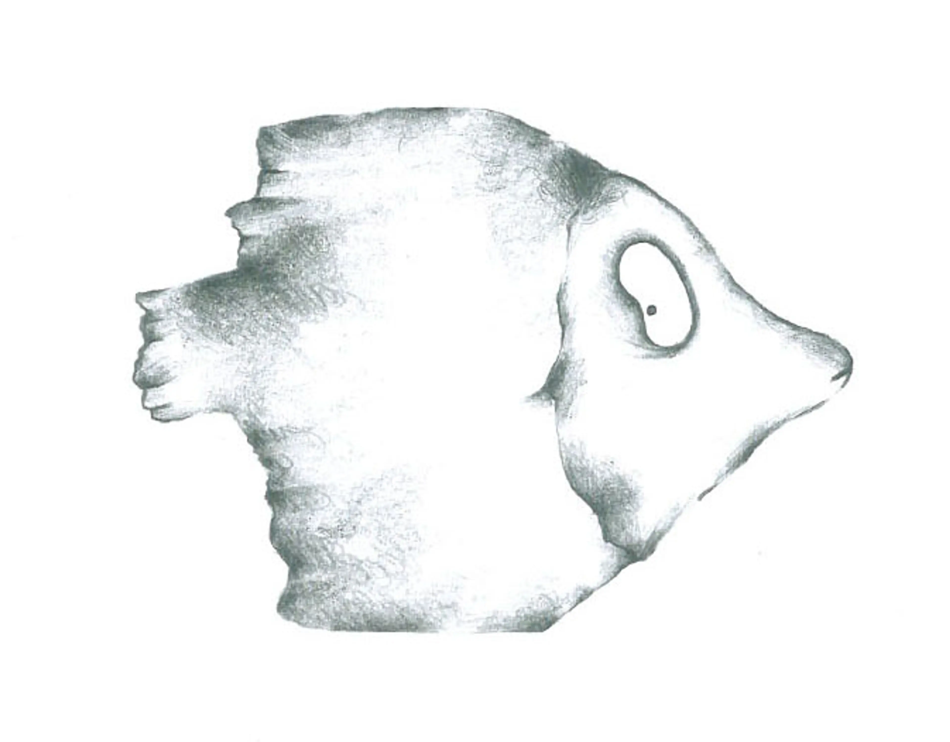 Animals (24)