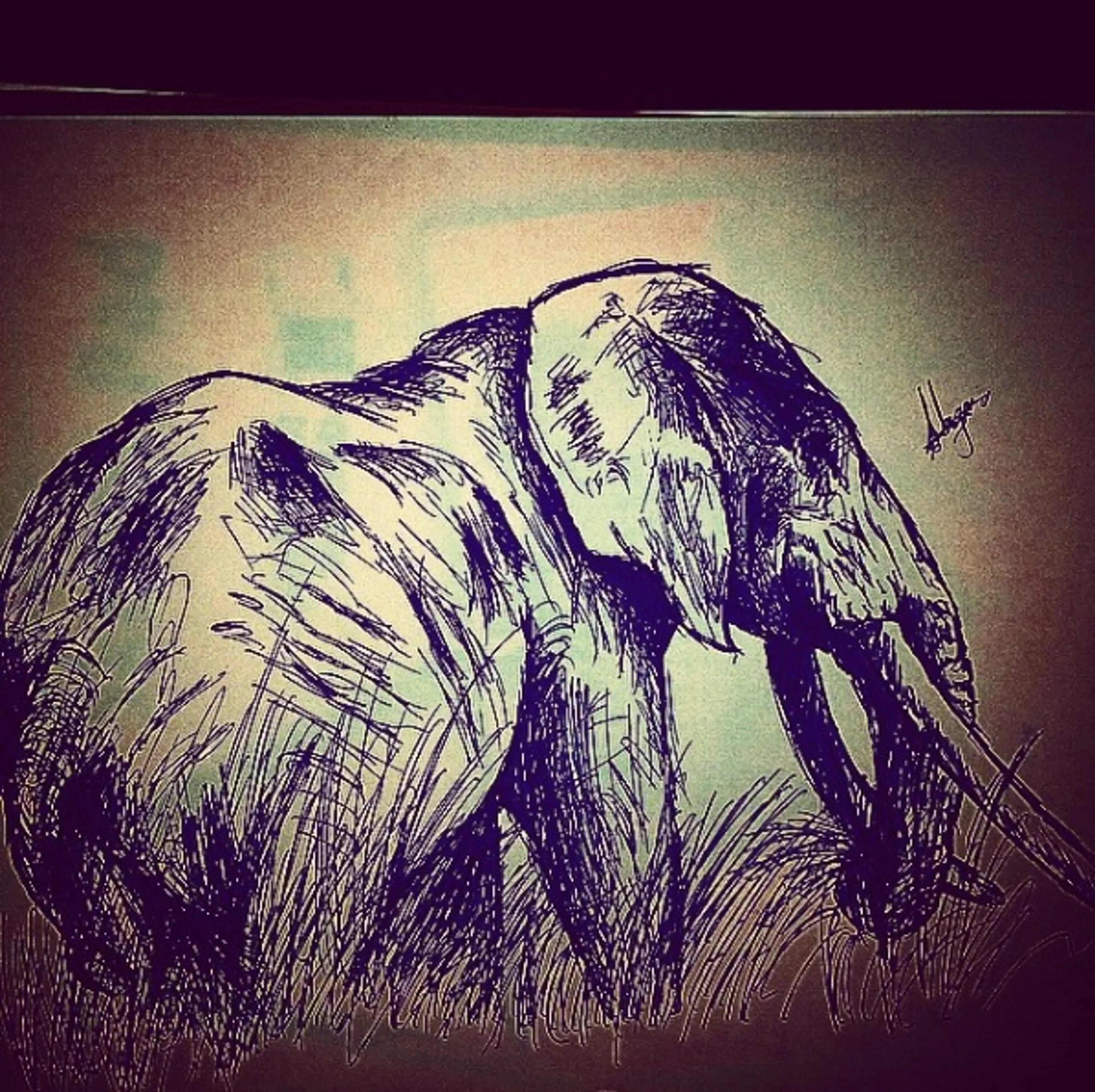 bigbull
