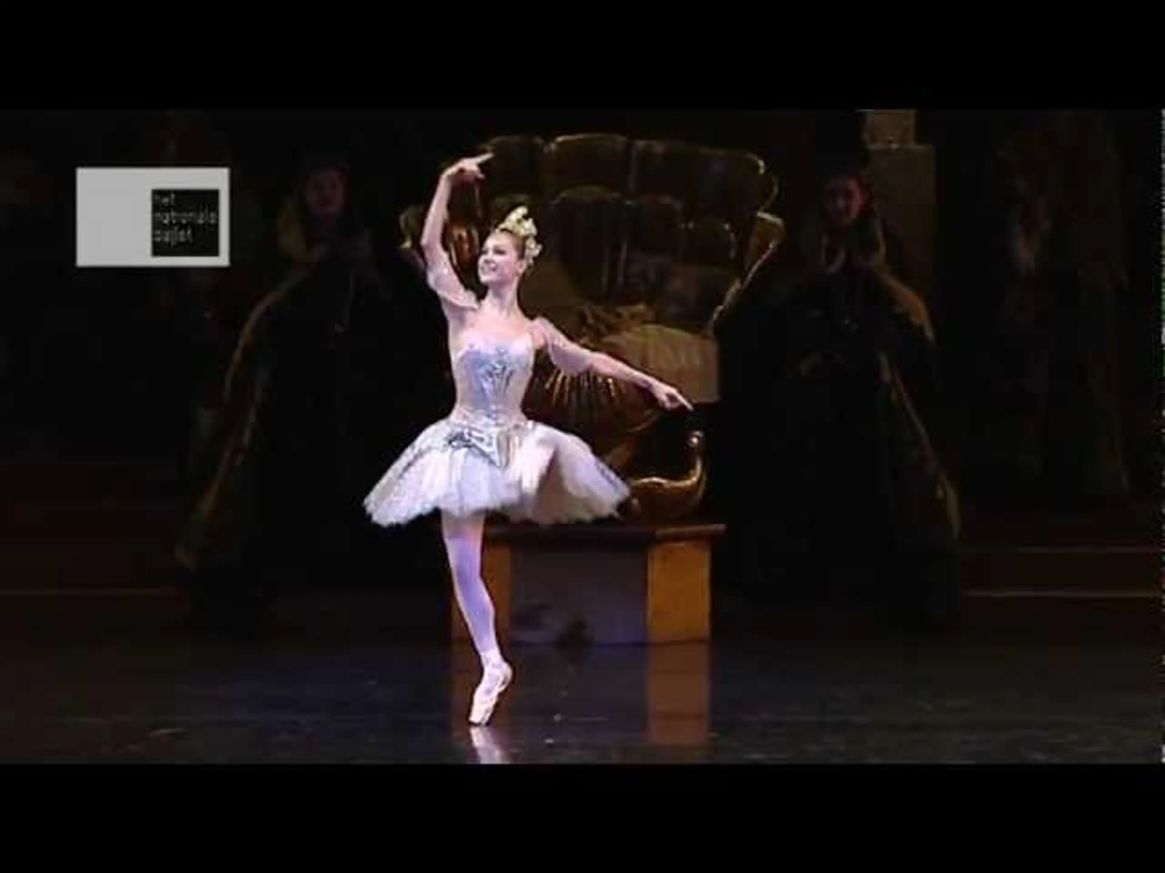 Sleeping Beauty Fairy variation 5