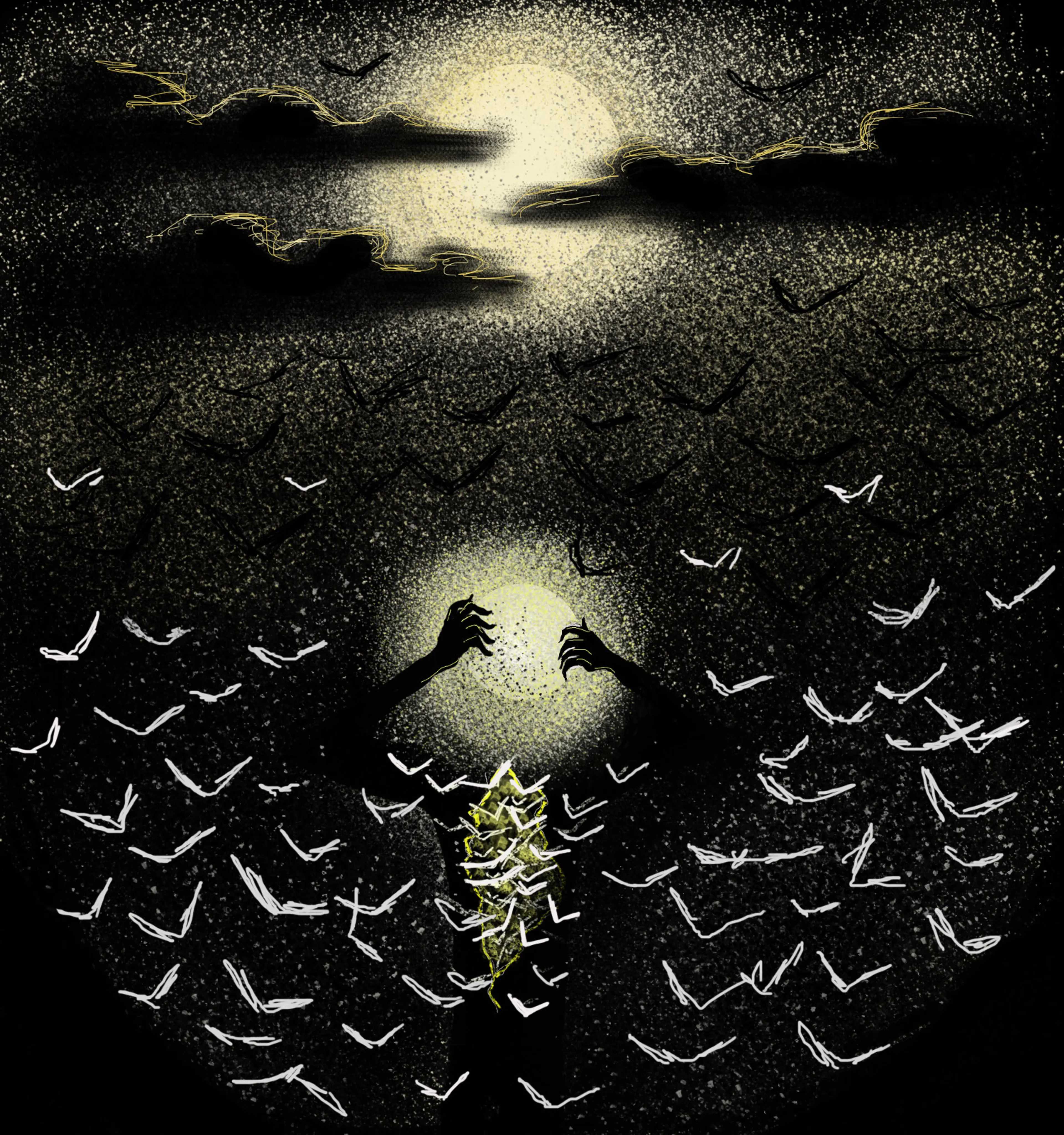 Moonlight