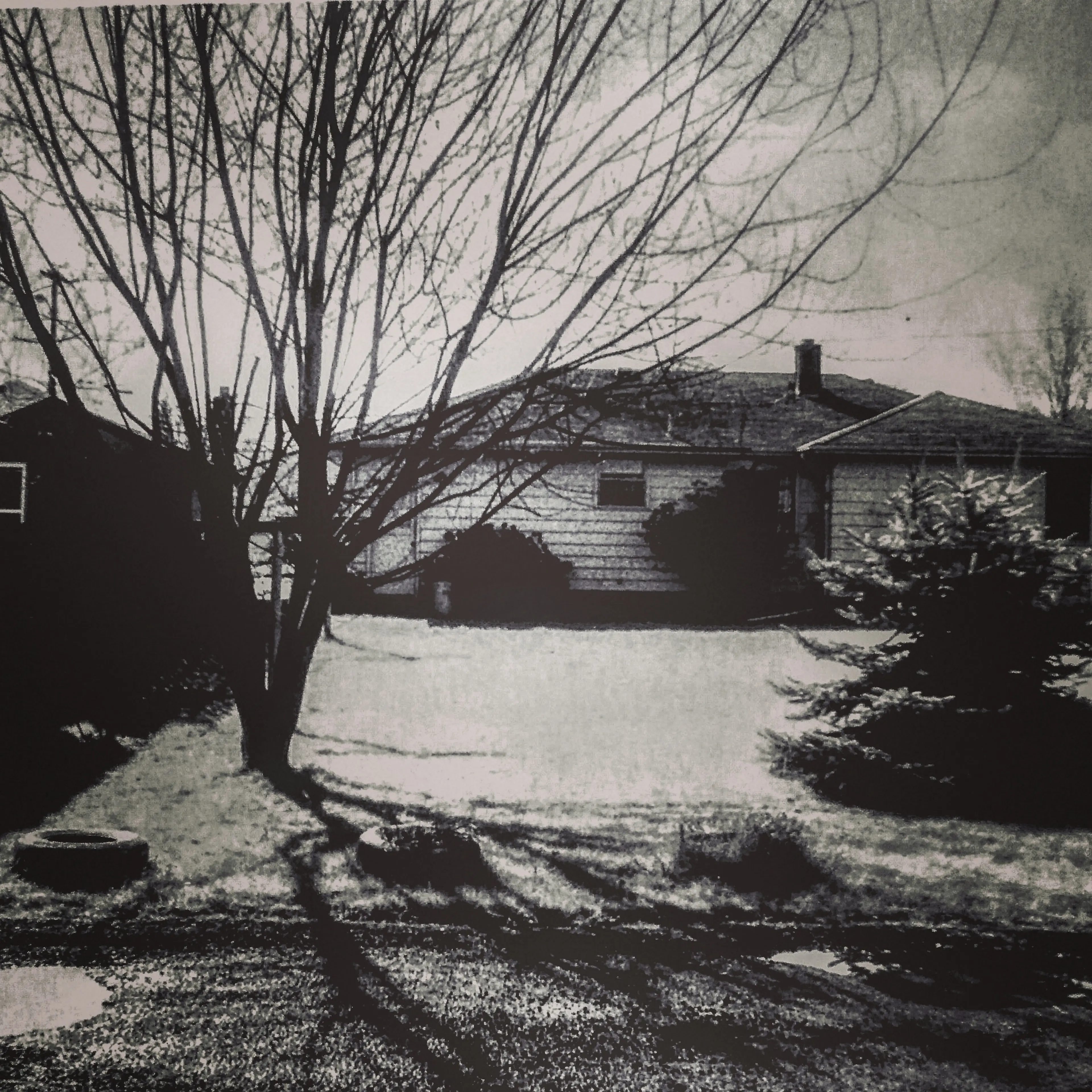 Mr. Scott's Backyard