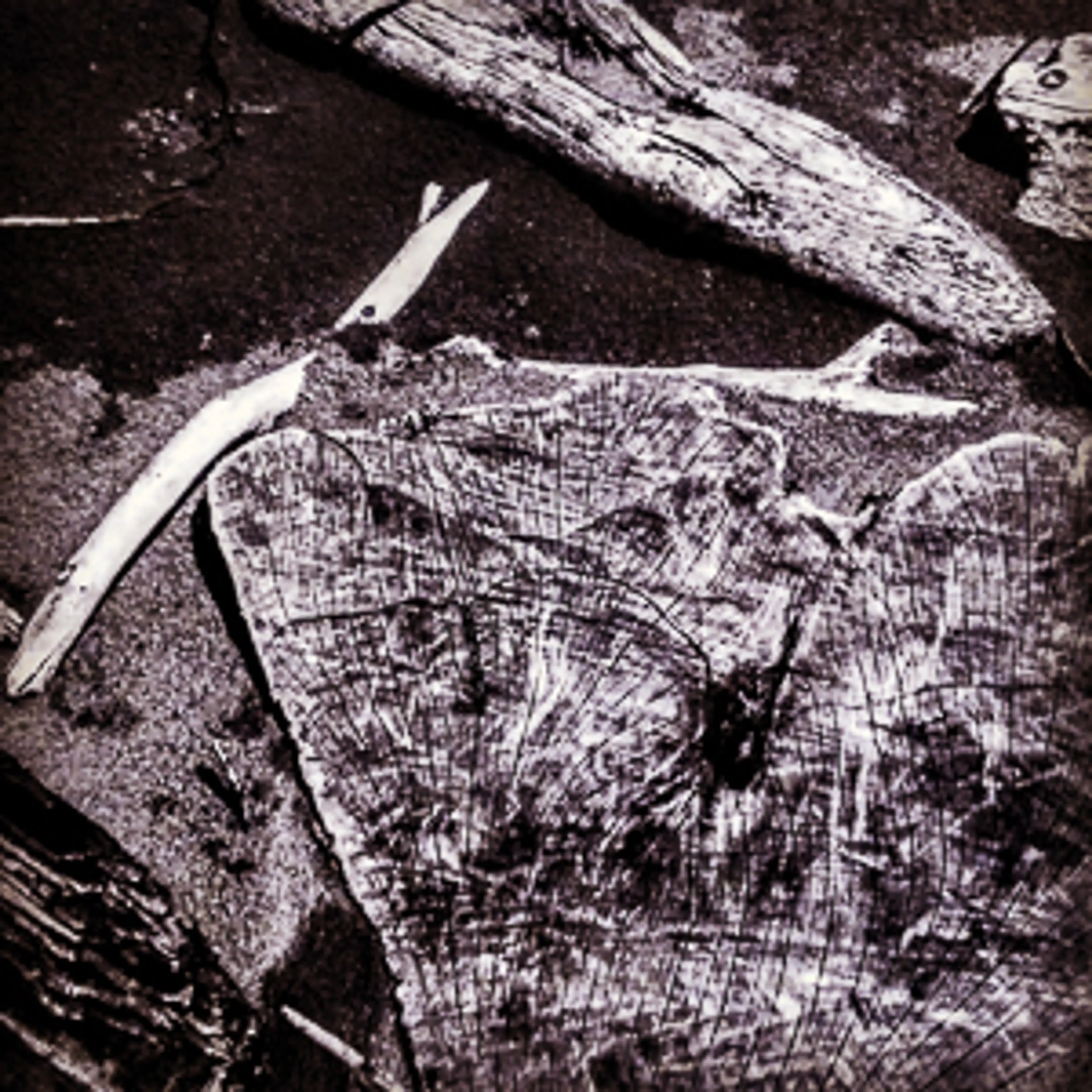 Driftwood Oregon Coast '81.jpg