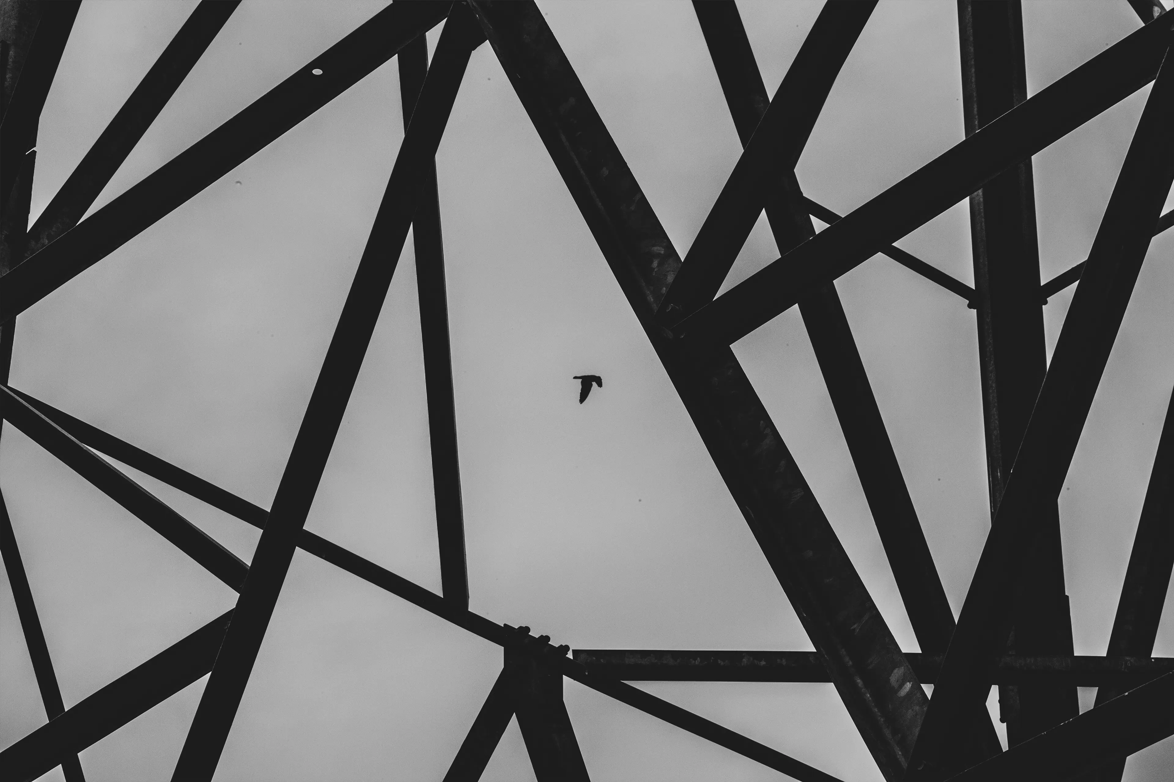 08