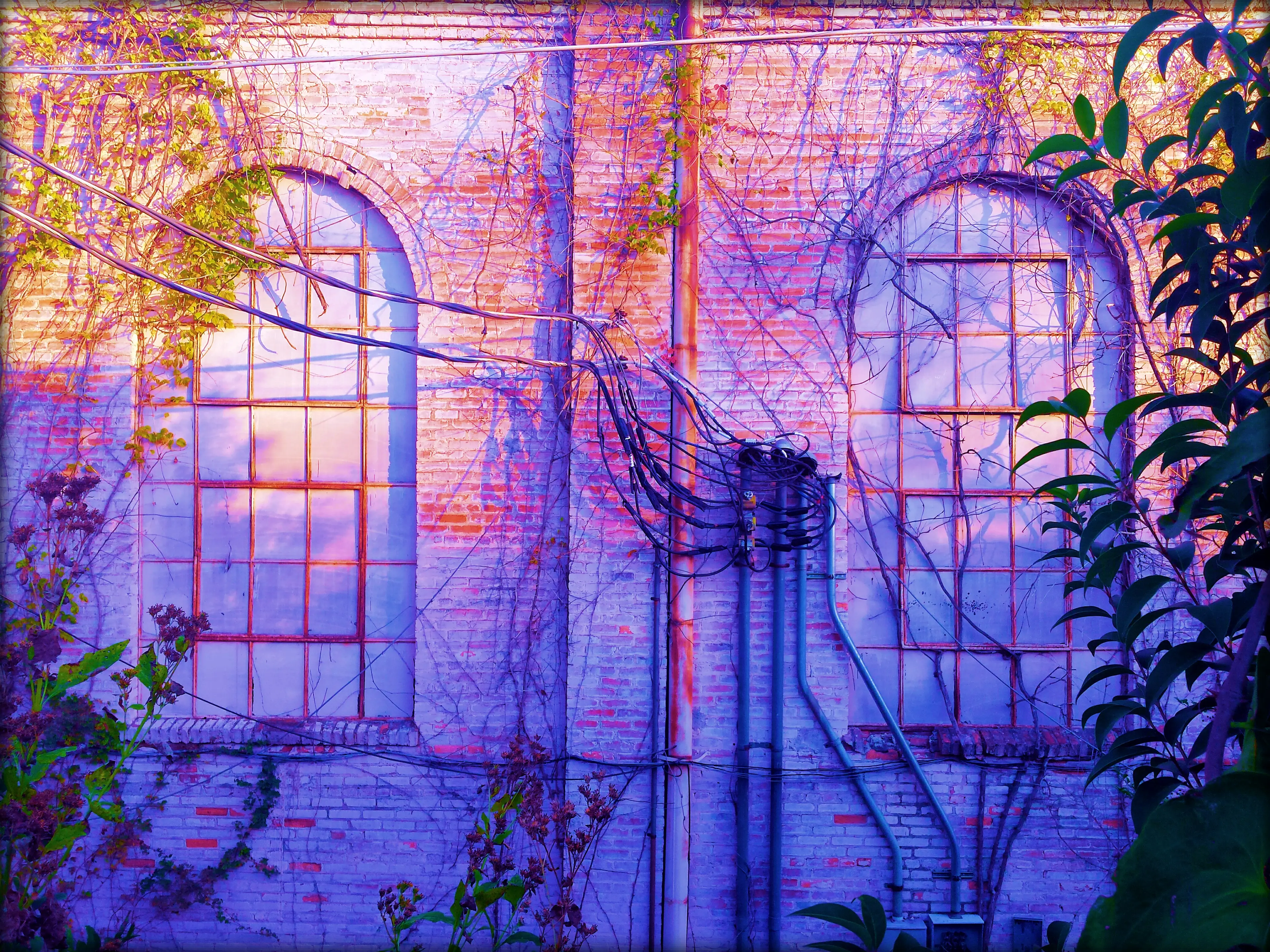 Windows