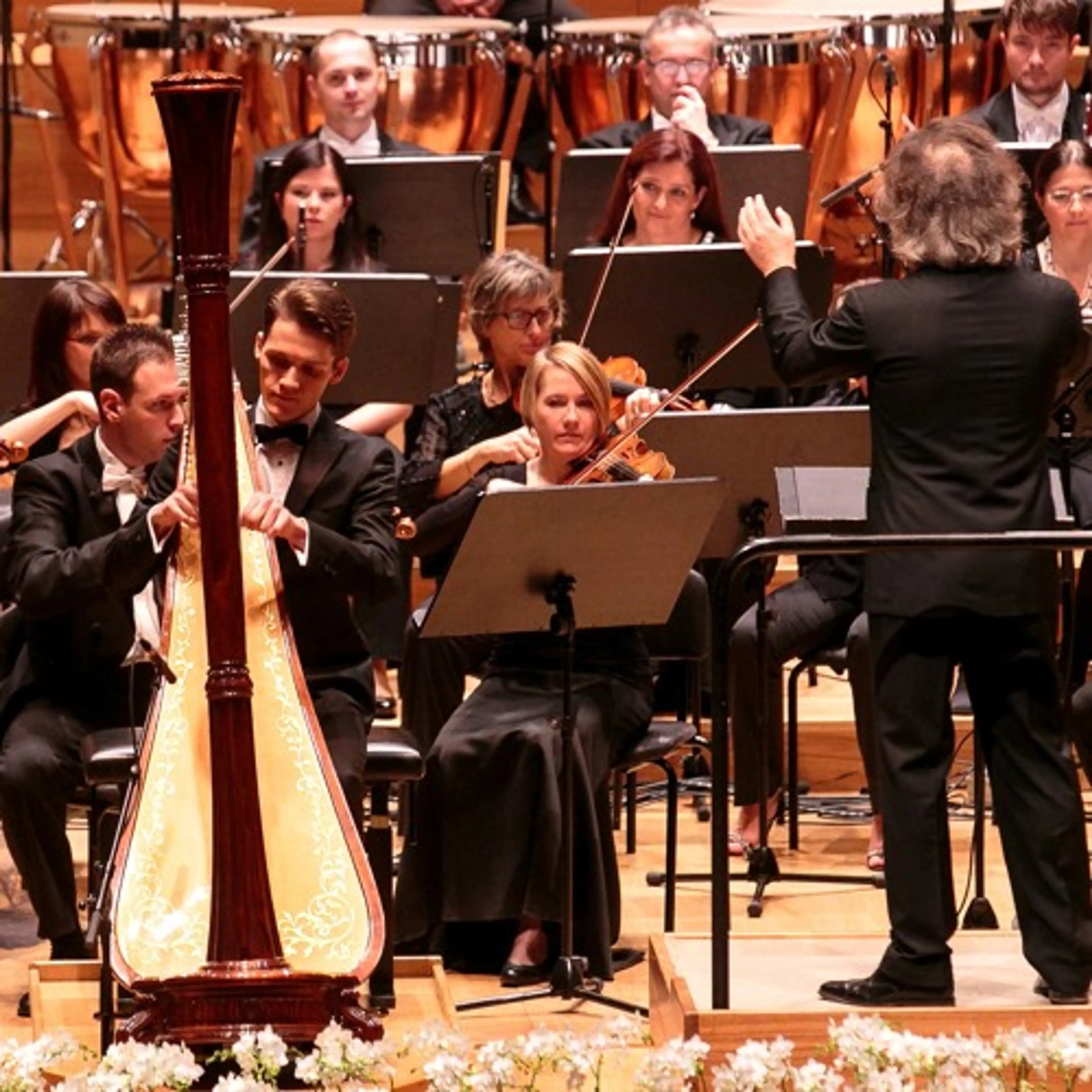 C. Saint-Saens: Morcau de Concert pour Harpe, LIVE